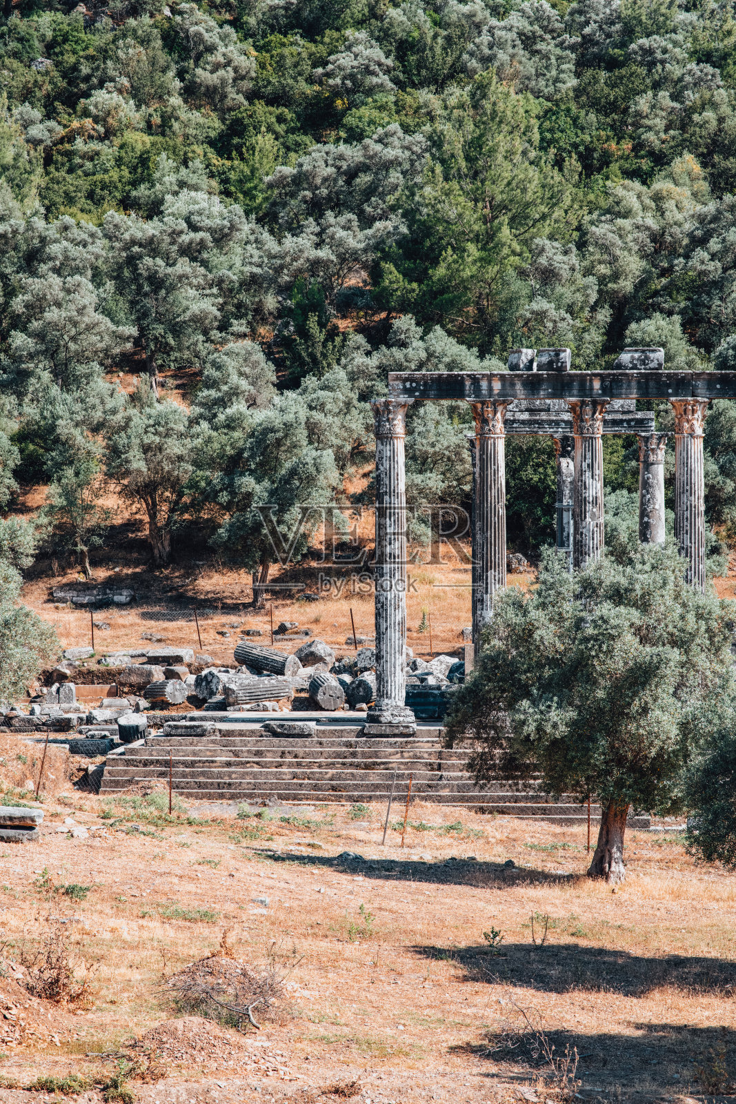古城中的庙宇遗址照片摄影图片