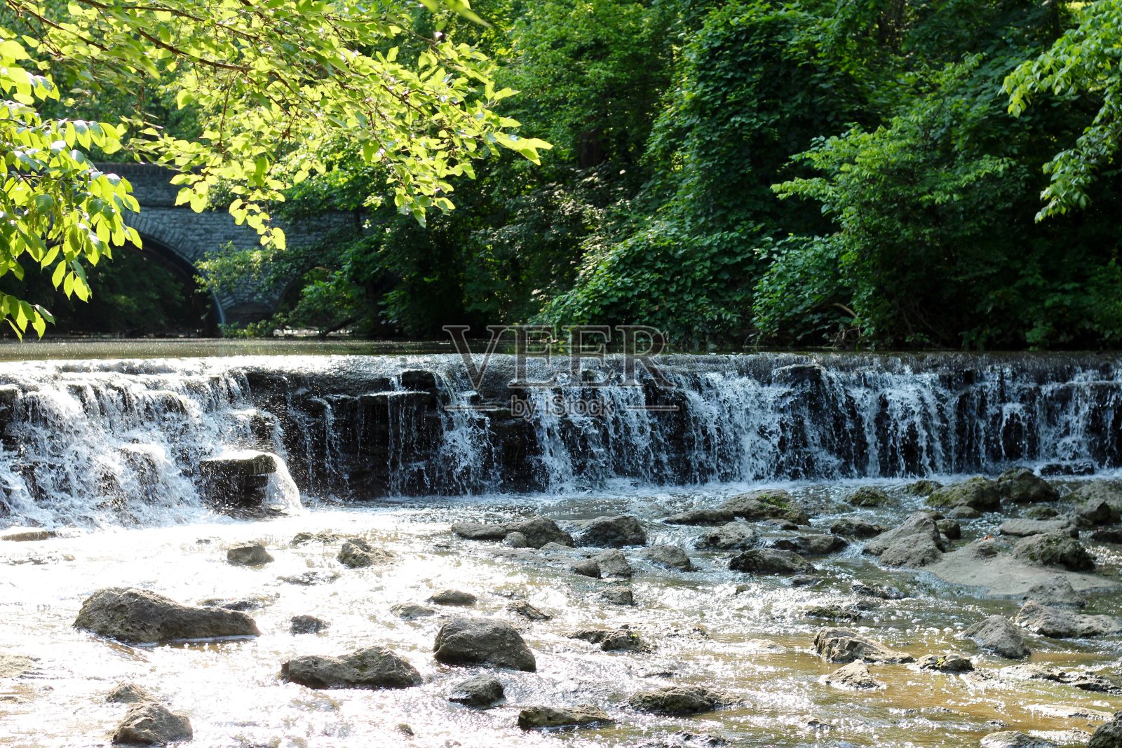 森林中的瀑布照片摄影图片