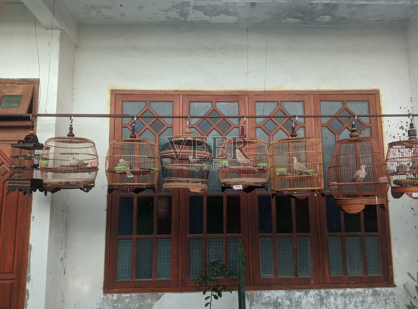 一排鸟笼照片摄影图片