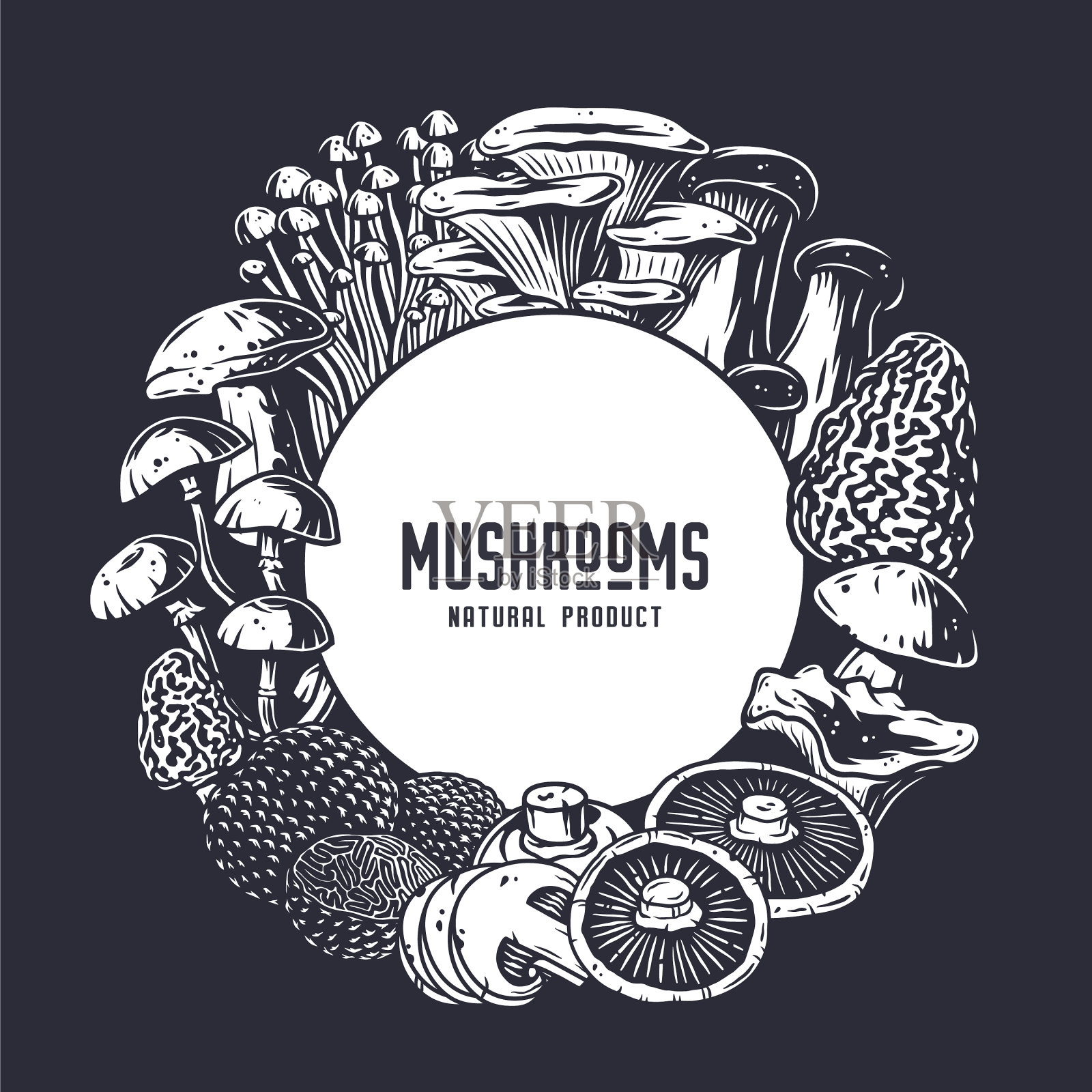 采菇菌或采菇菌集插画图片素材