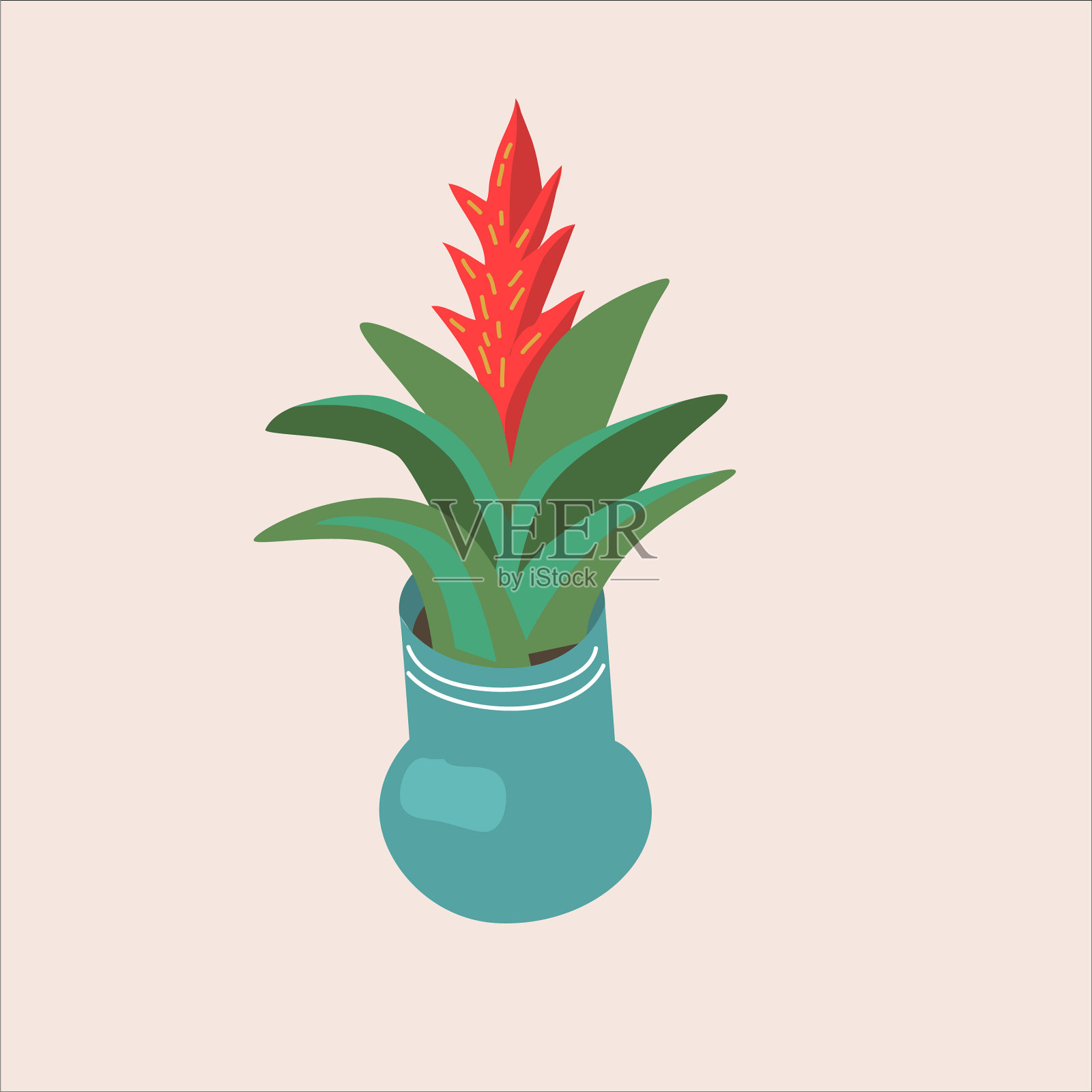 不同植物盆栽隔离说明插画图片素材