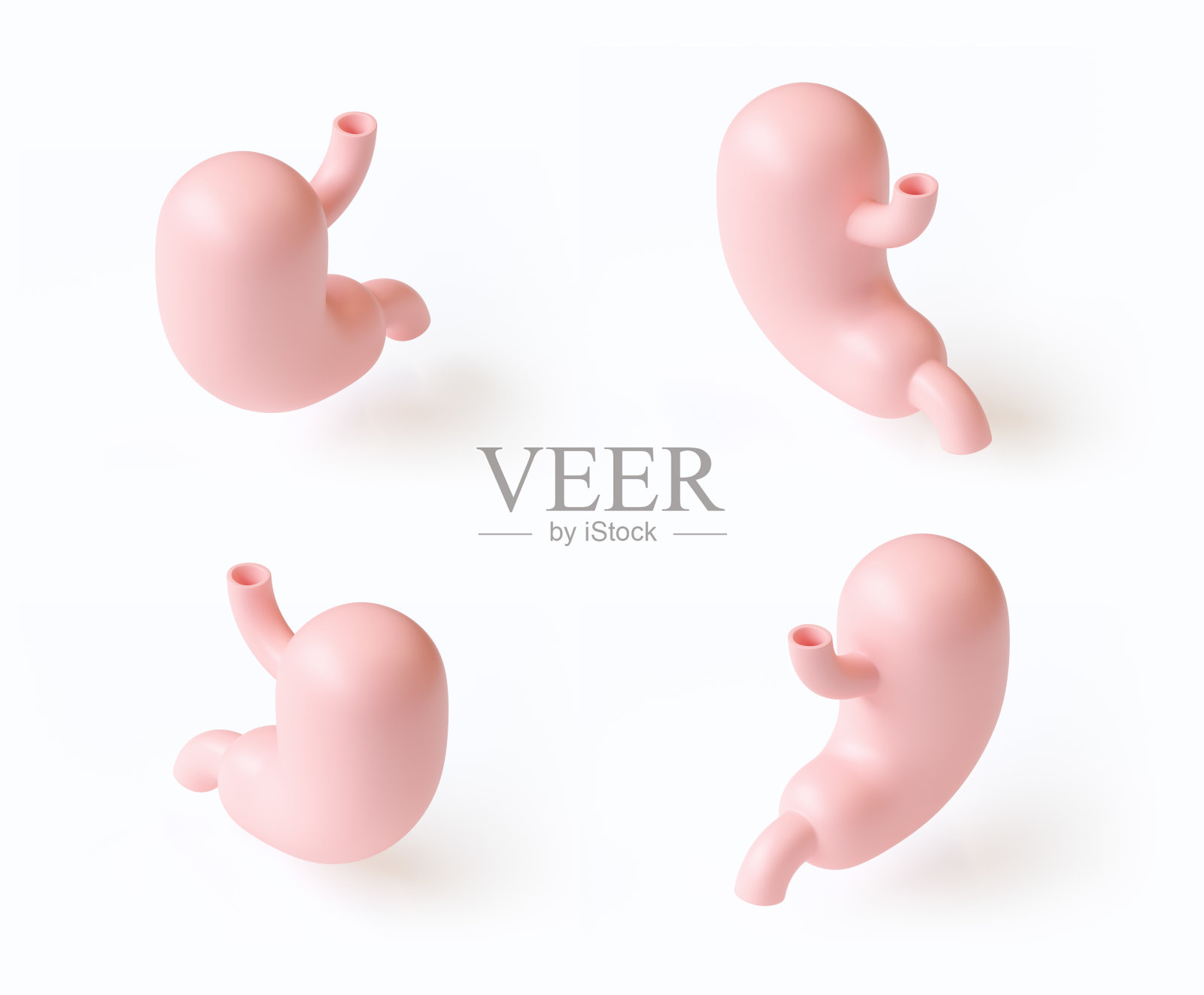 人的胃孤立在白色上的程式化设置的3d插图照片摄影图片