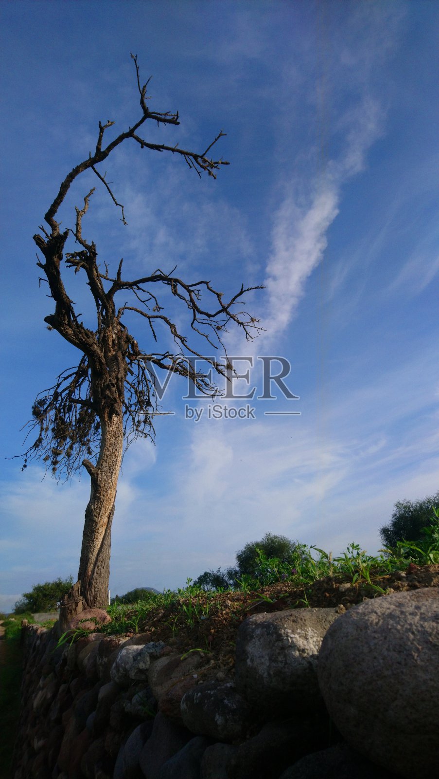 静物生活之美照片摄影图片