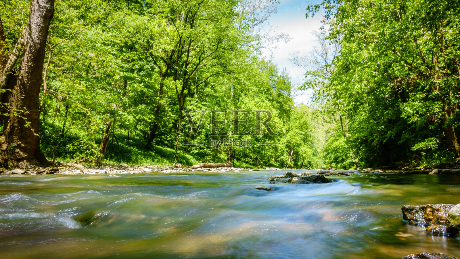茉莉香水河照片摄影图片