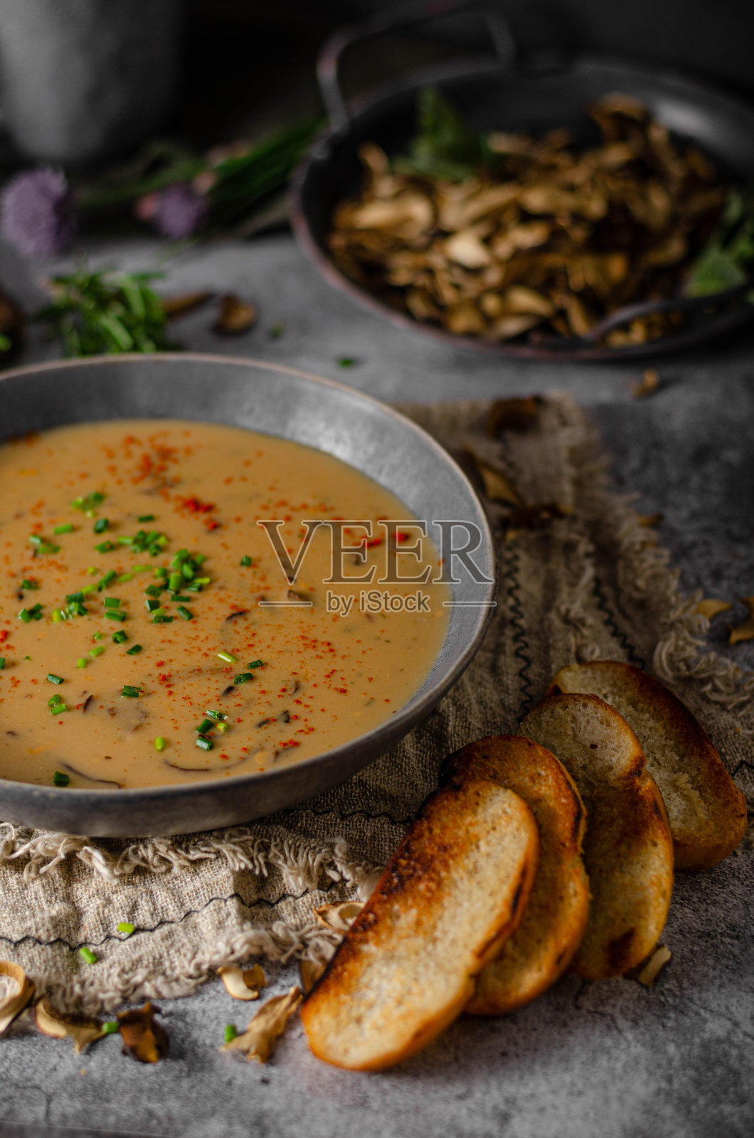 福克斯蘑菇汤照片摄影图片