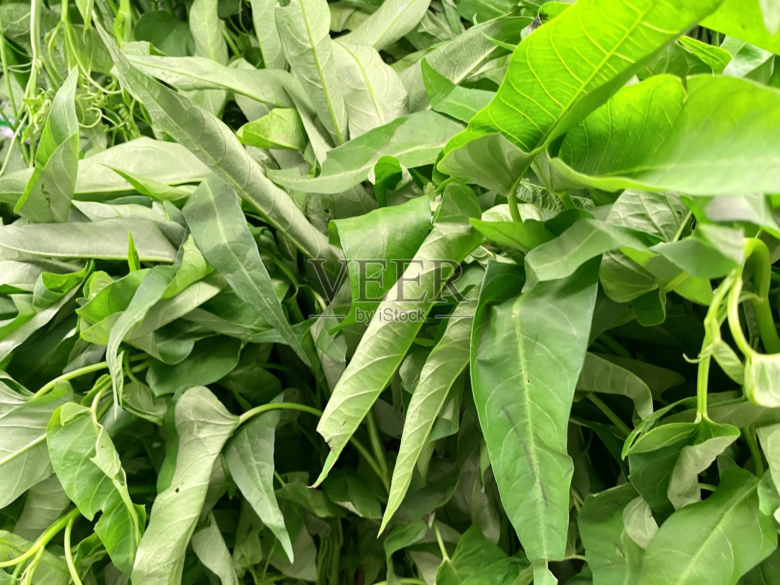 蔬菜照片摄影图片