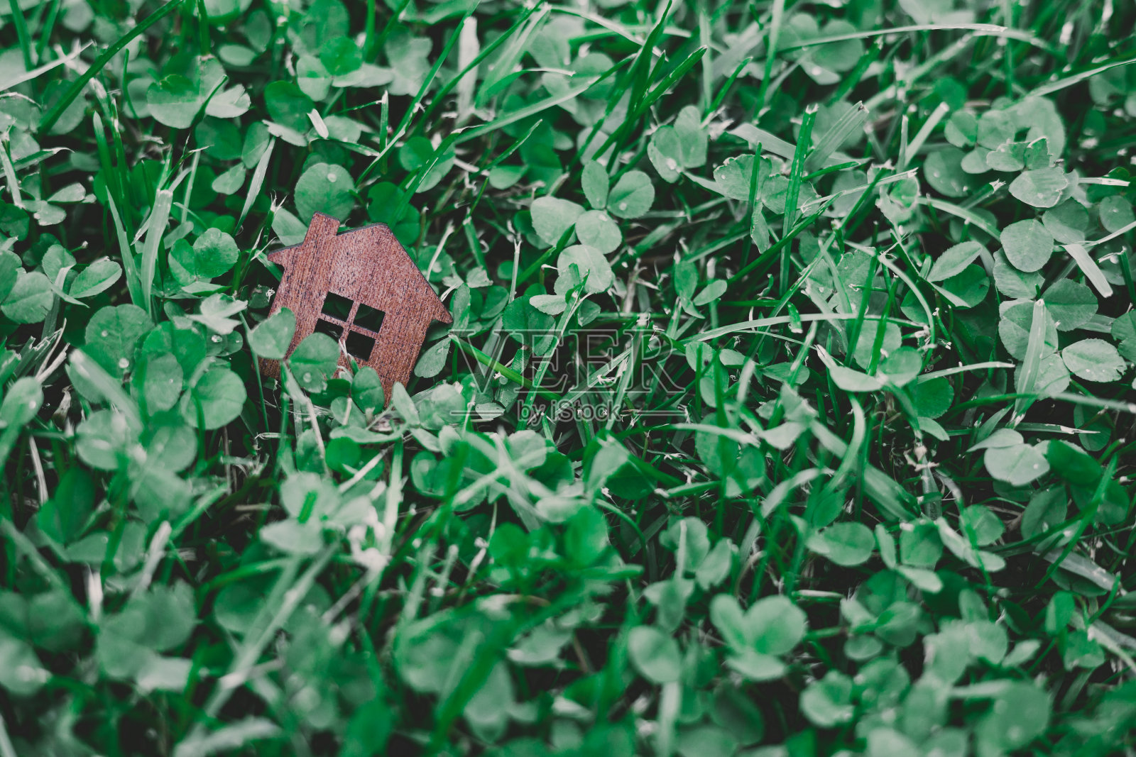 绿草中的小木屋。生态家的概念照片摄影图片