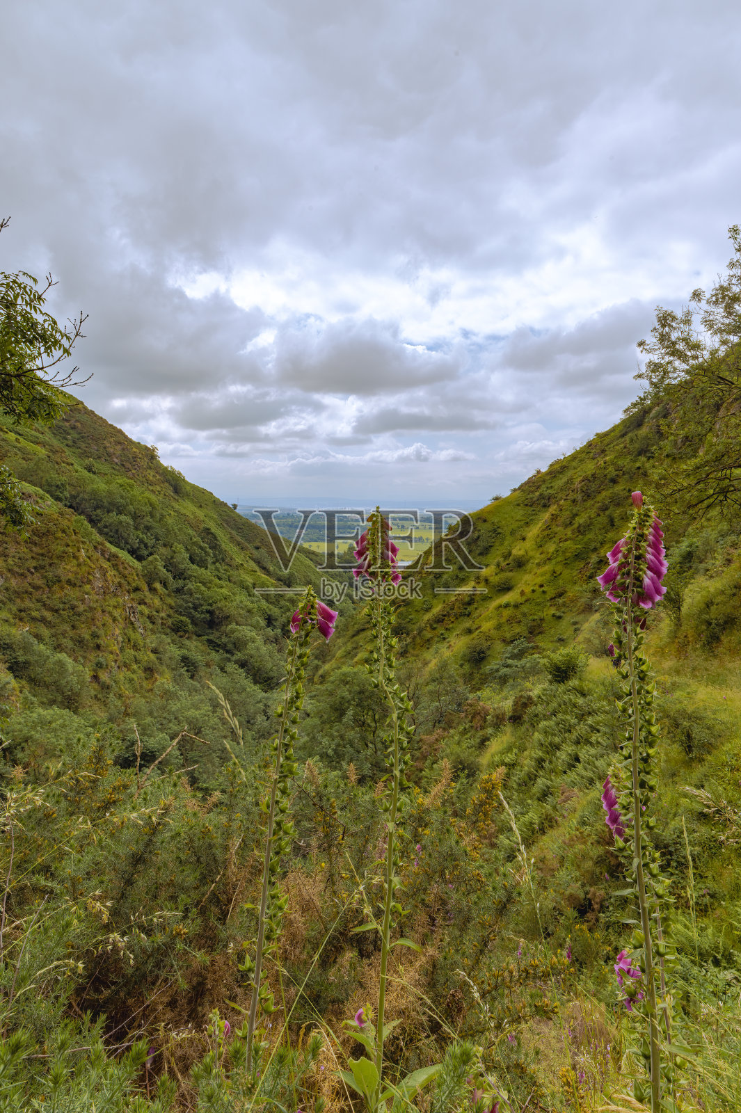 惊人的观点照片摄影图片
