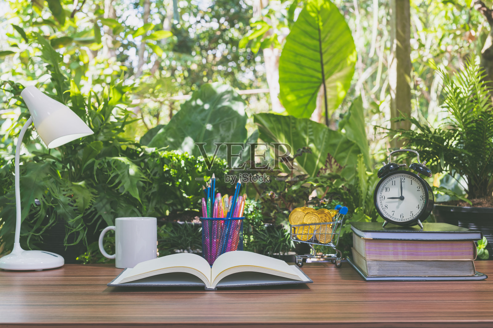 读书的概念和课桌照片摄影图片