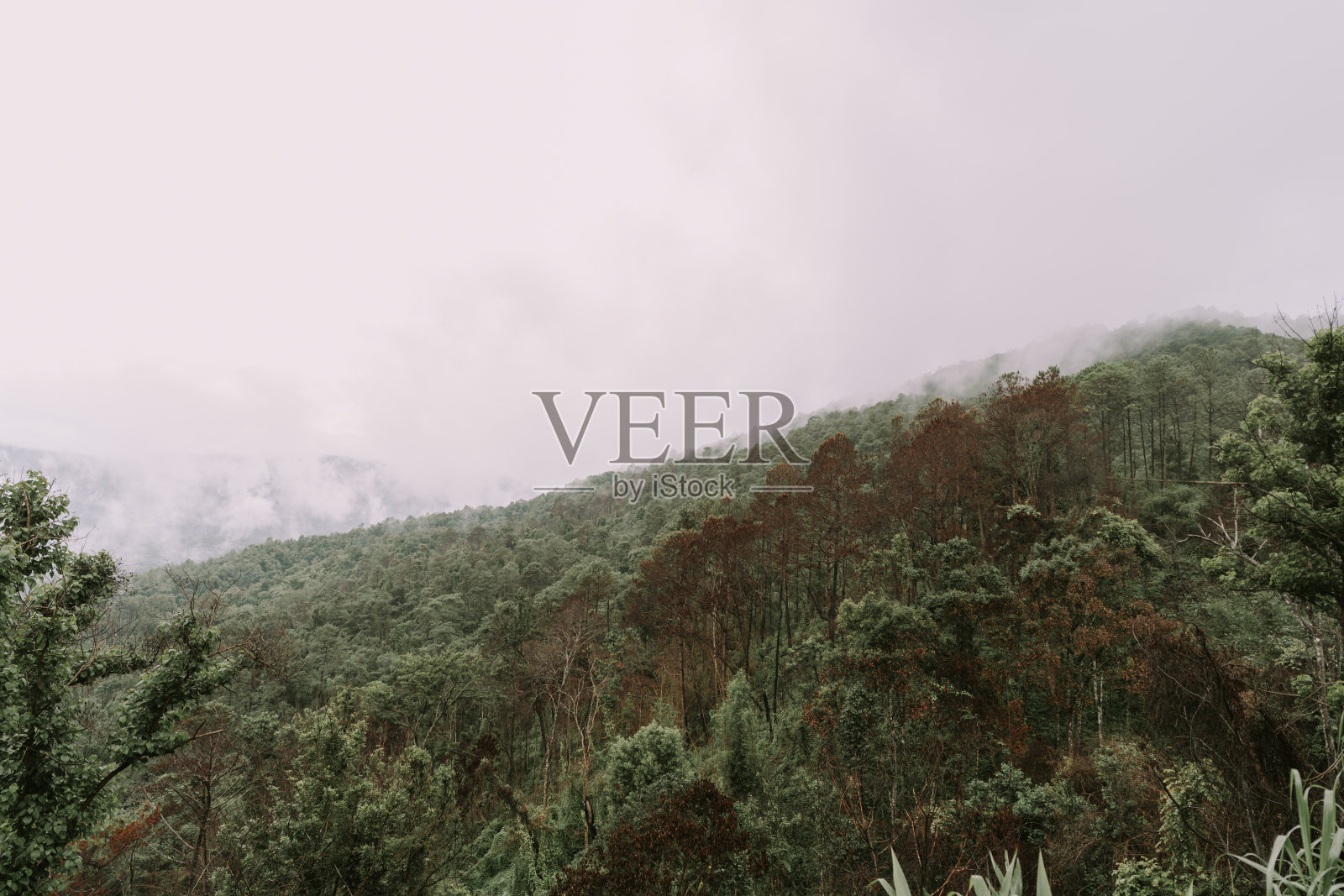 清迈山上的云照片摄影图片