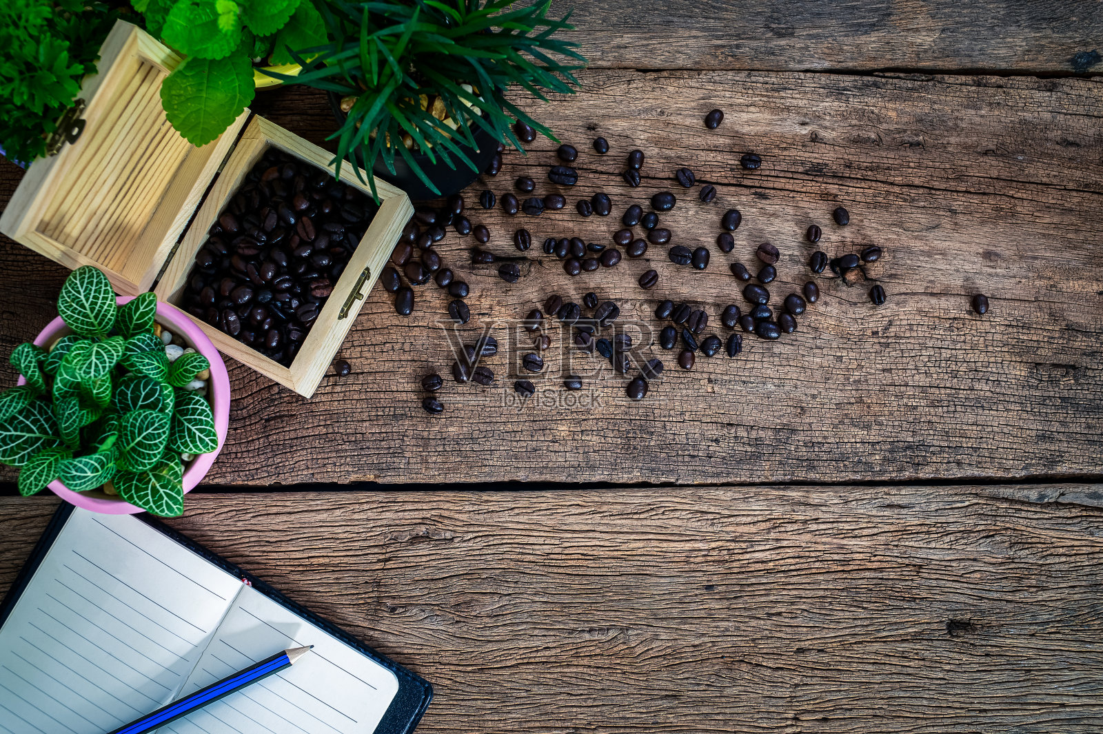 记忆笔记本的概念在桌面上查看照片摄影图片