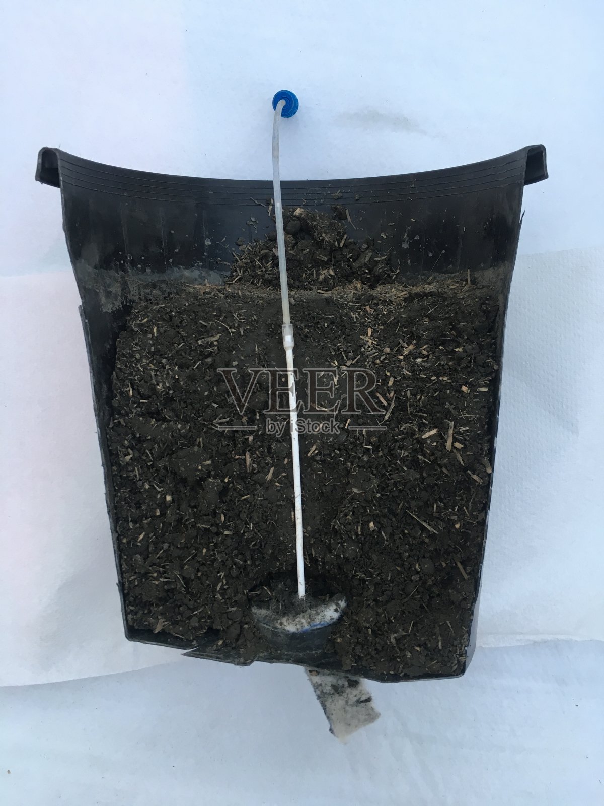 罐内填土和孔隙水样品的横截面照片摄影图片