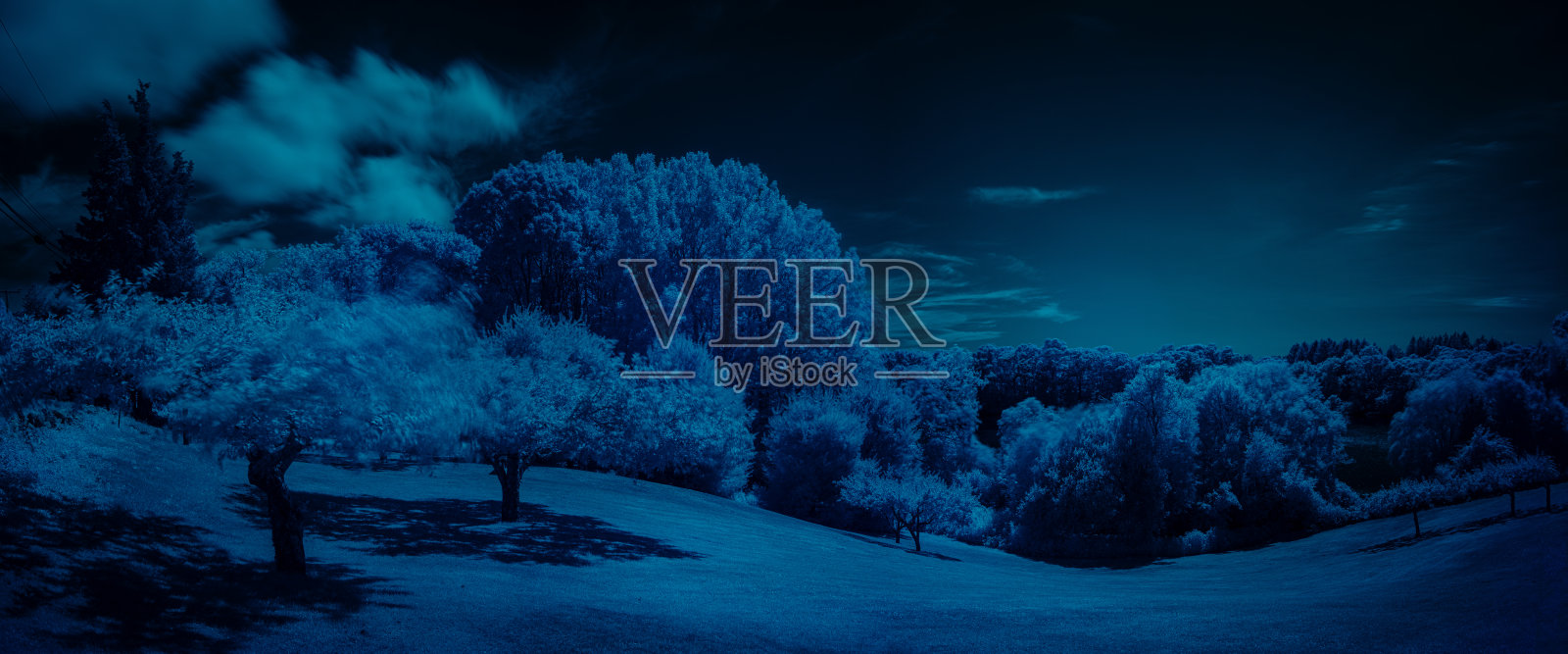 全景树花园在弯曲的山上与戏剧性的云照片摄影图片