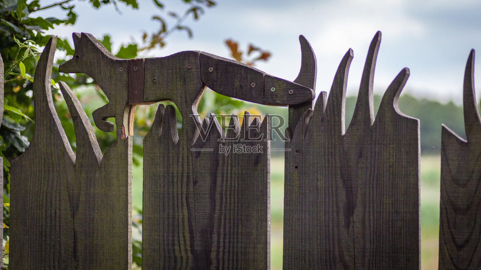 福克斯栅栏雕刻照片摄影图片