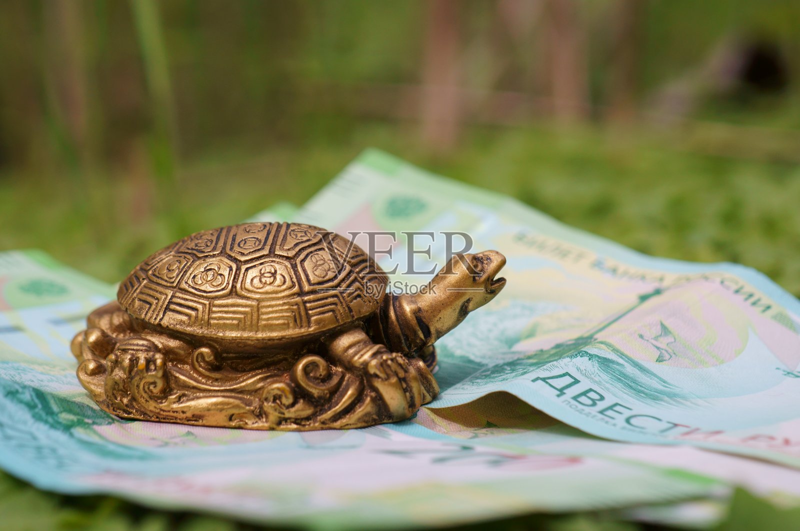 钞票上的金属乌龟雕像。照片摄影图片