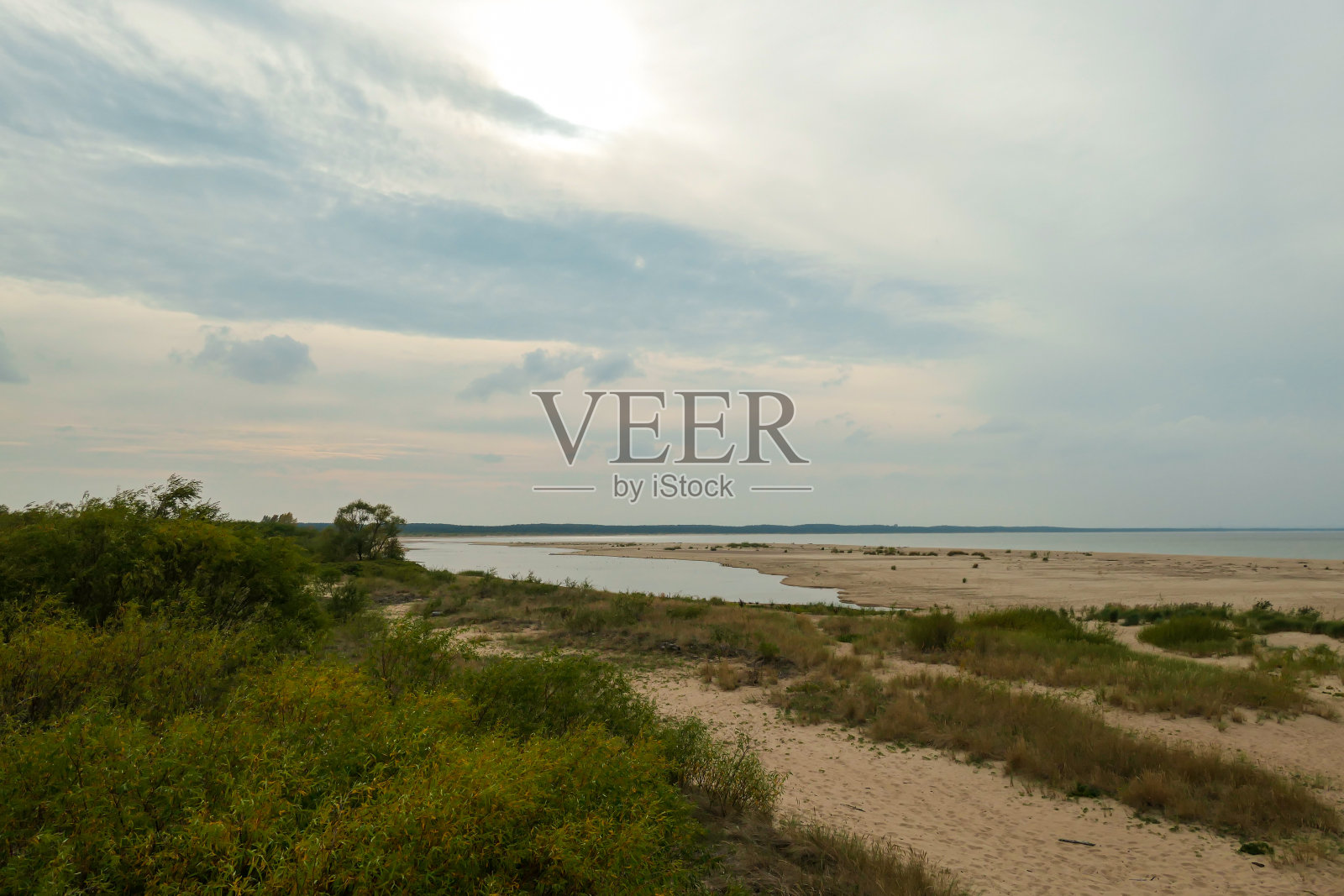 索比斯泽沃岛-波兰波罗的海索比斯泽沃岛沙滩的海岸线，长满了高草和灌木照片摄影图片