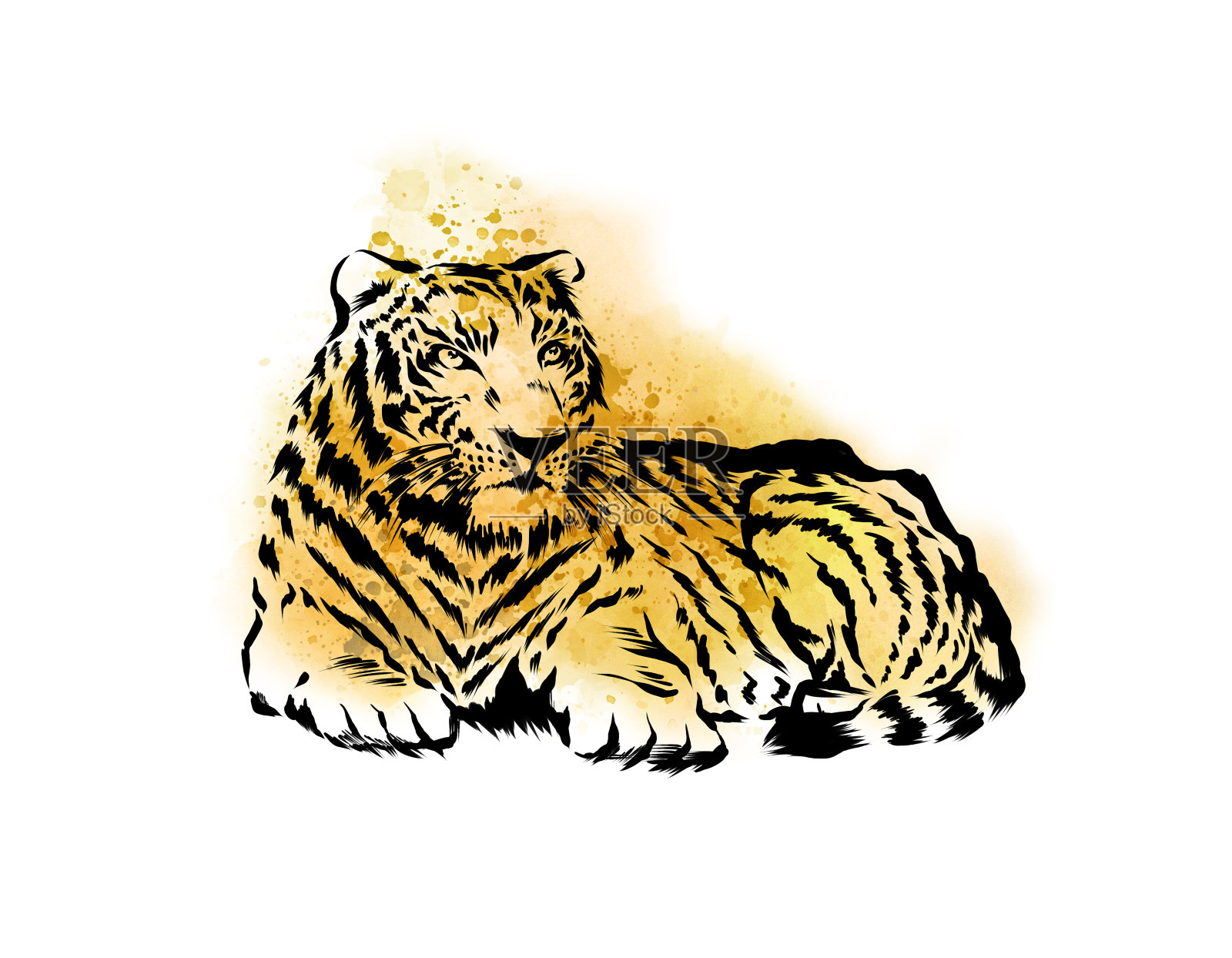 老虎水彩插图插画图片素材