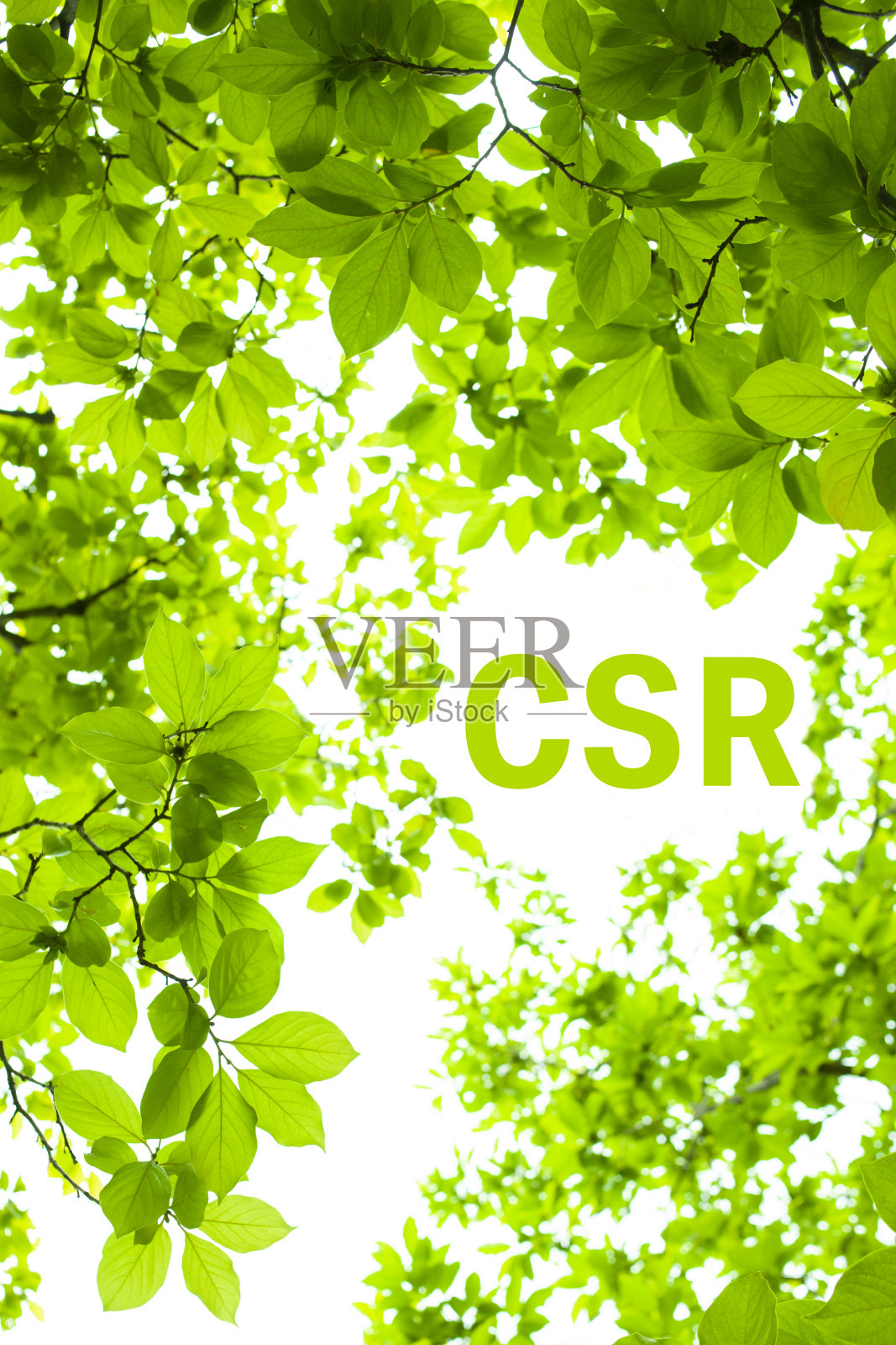 企业社会责任的形象照片摄影图片