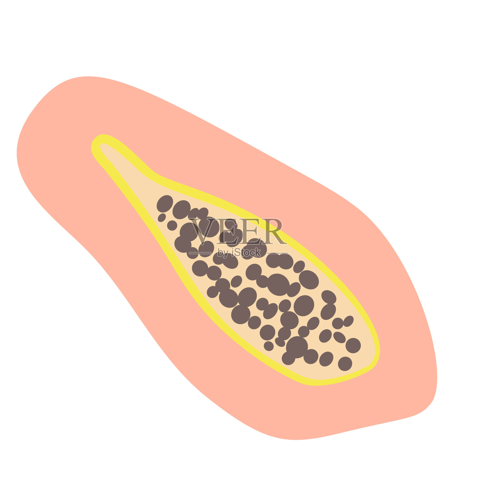 简单的波西米亚水果番木瓜孤立在白色插画图片素材