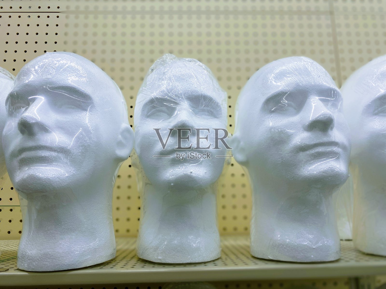 斯蒂罗头照片摄影图片