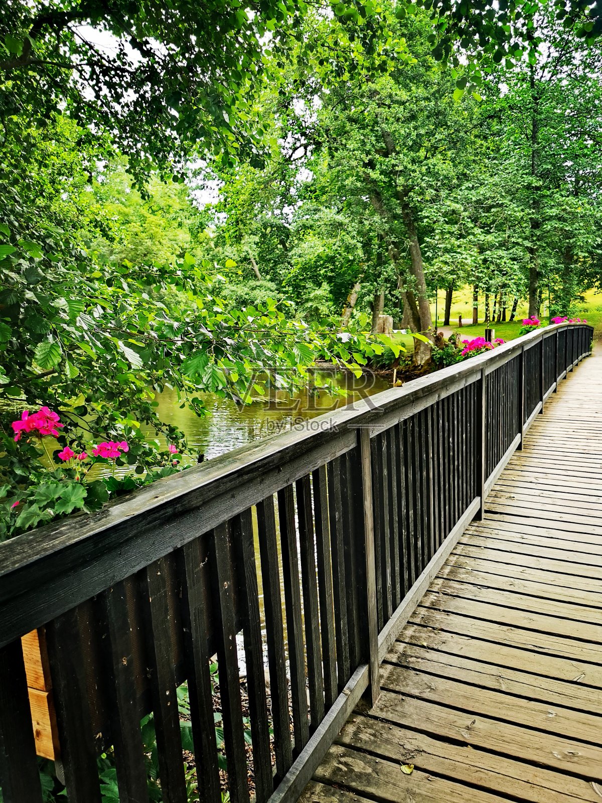 芬兰，菲斯卡，夏天，桥，花照片摄影图片