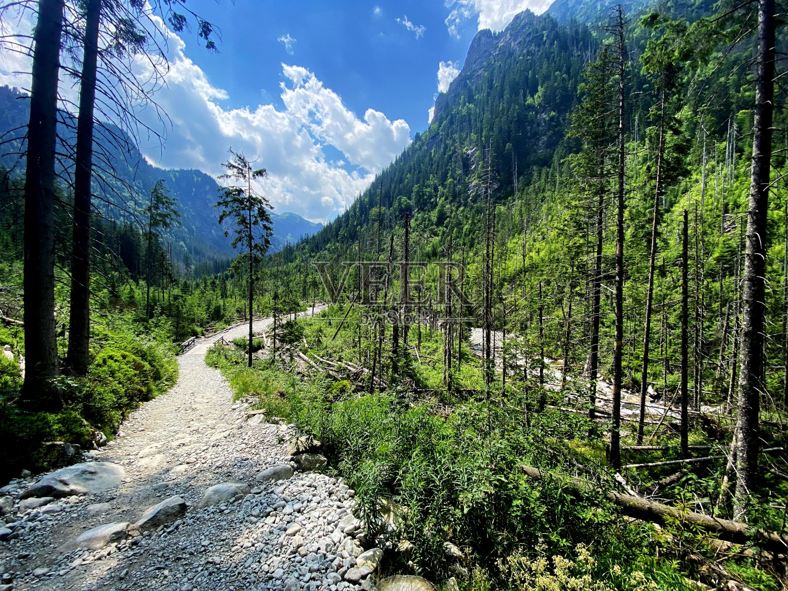 波兰的塔特拉山脉照片摄影图片