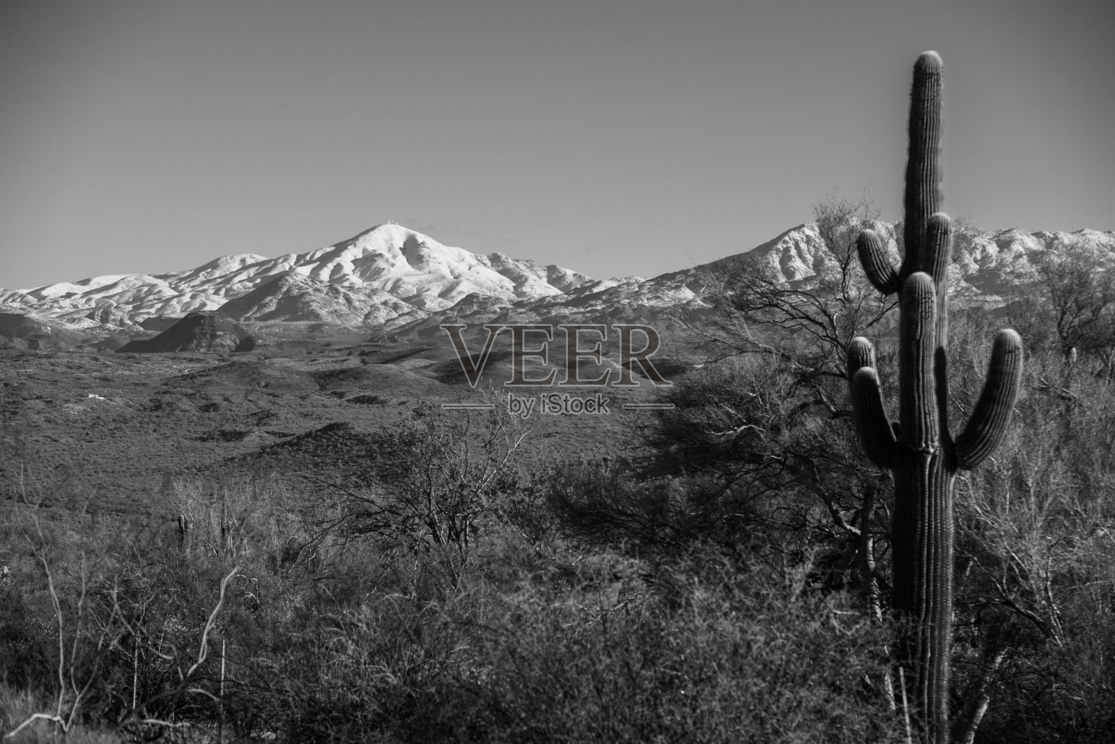 西南沙漠照片摄影图片