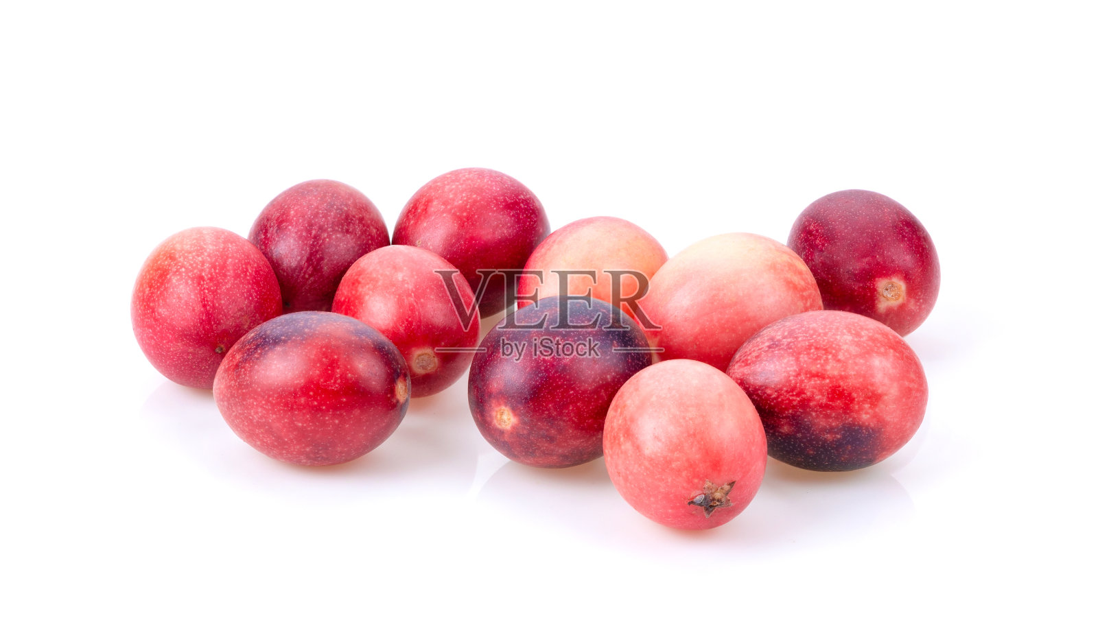 卡兰达或孟加拉红醋栗，卡兰达，卡兰达白果照片摄影图片