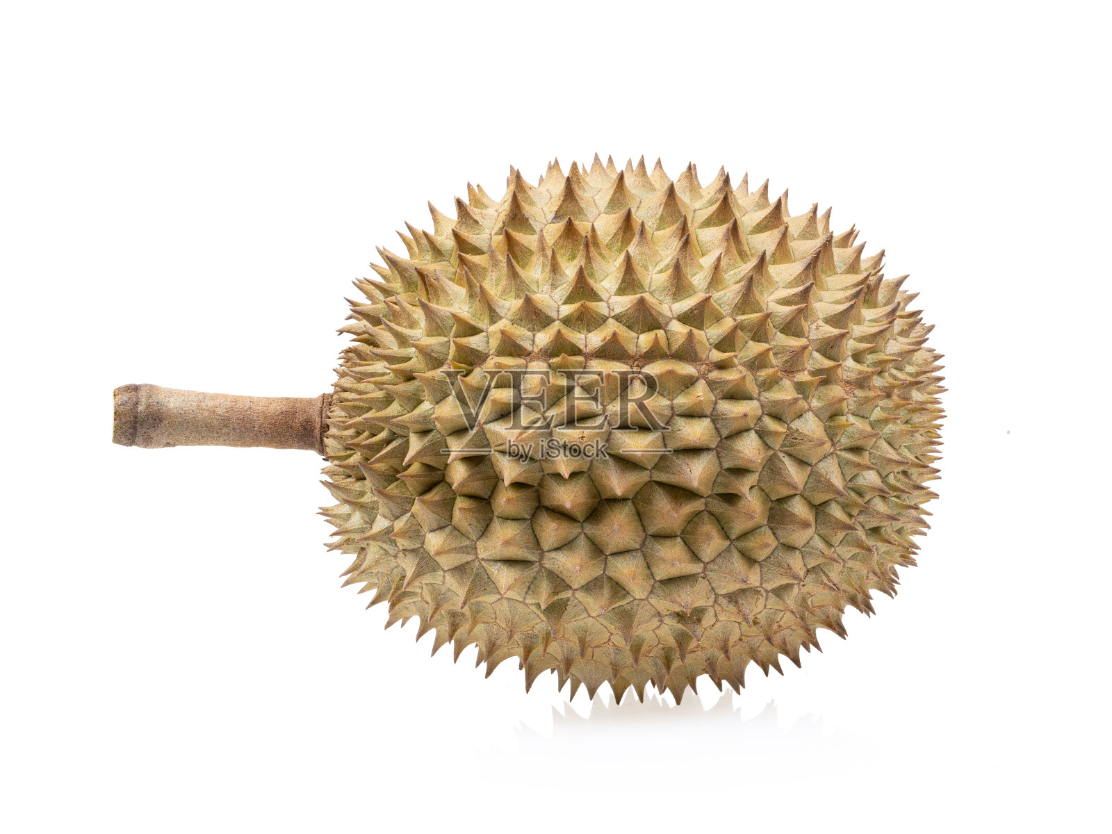 榴莲孤立在白色之上照片摄影图片