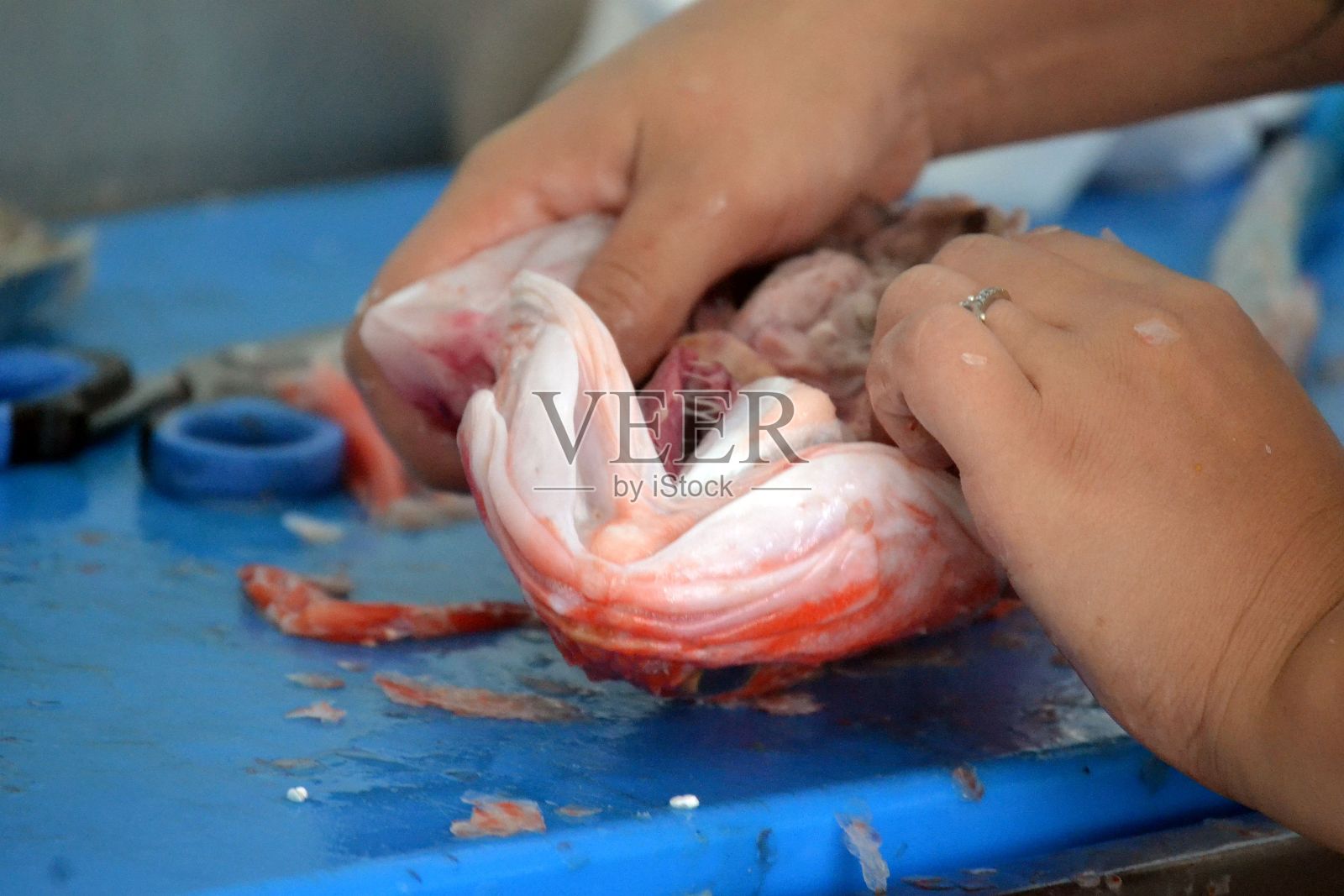 在水下清洗鱼，准备烧烤照片摄影图片