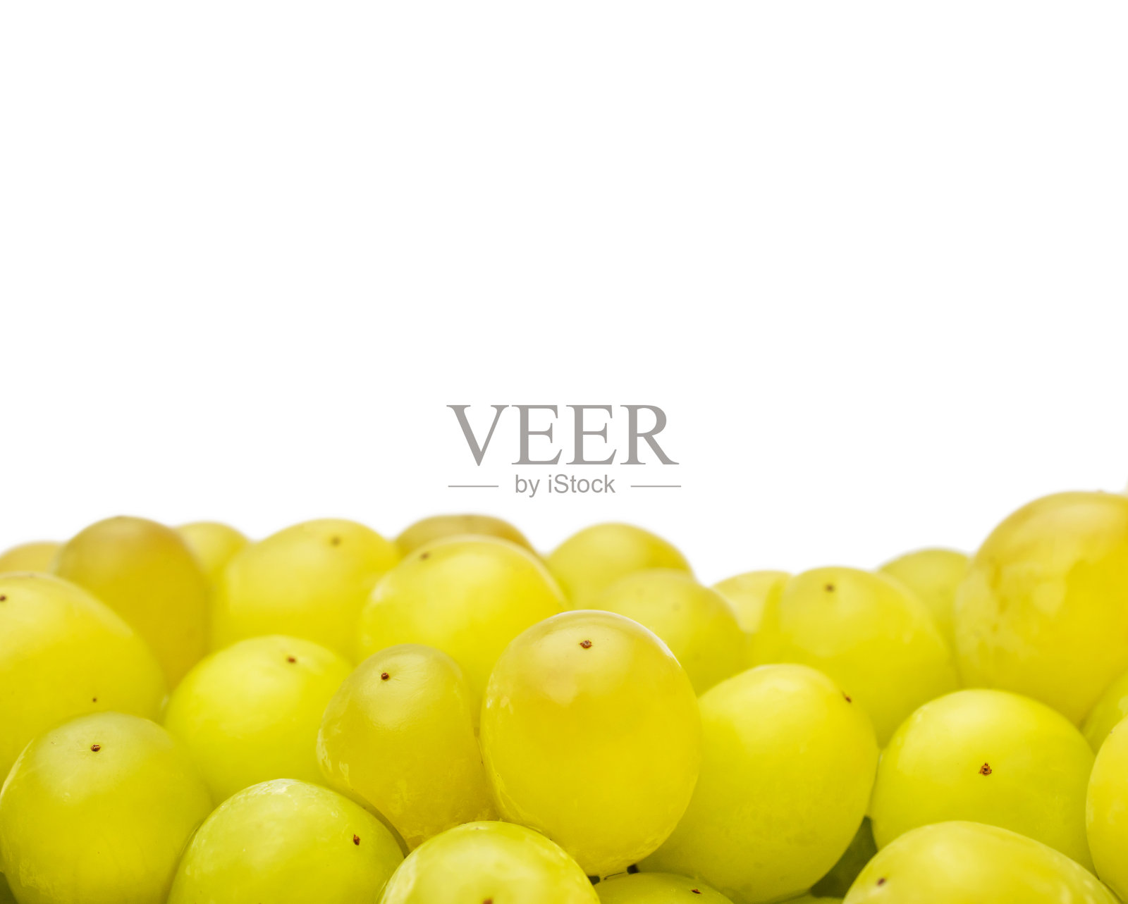 绿色葡萄孤立在白色上。关闭了。空间的文本。照片摄影图片