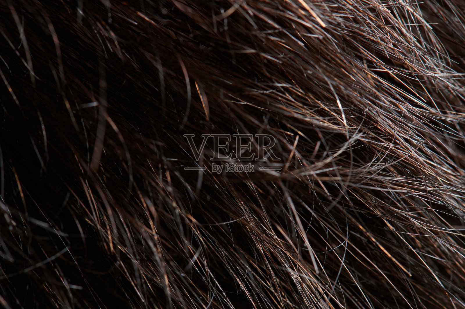 近距离的凌乱的黑发照片摄影图片