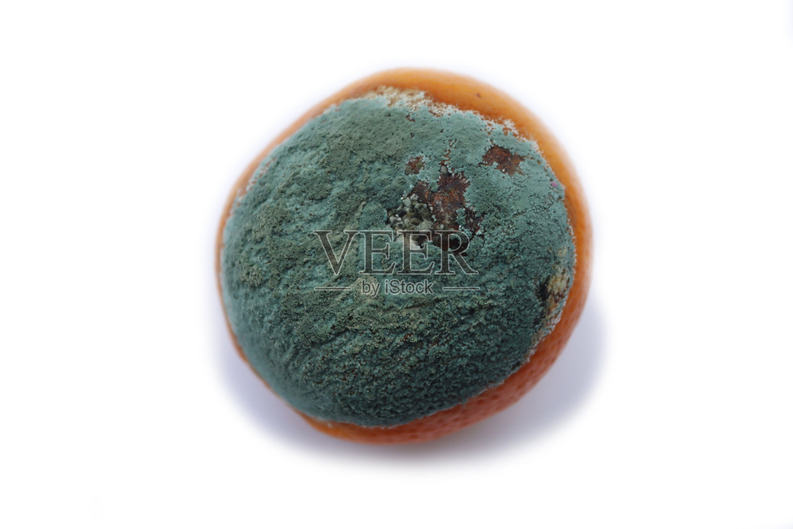 发霉腐烂的橙色水果上白色照片摄影图片