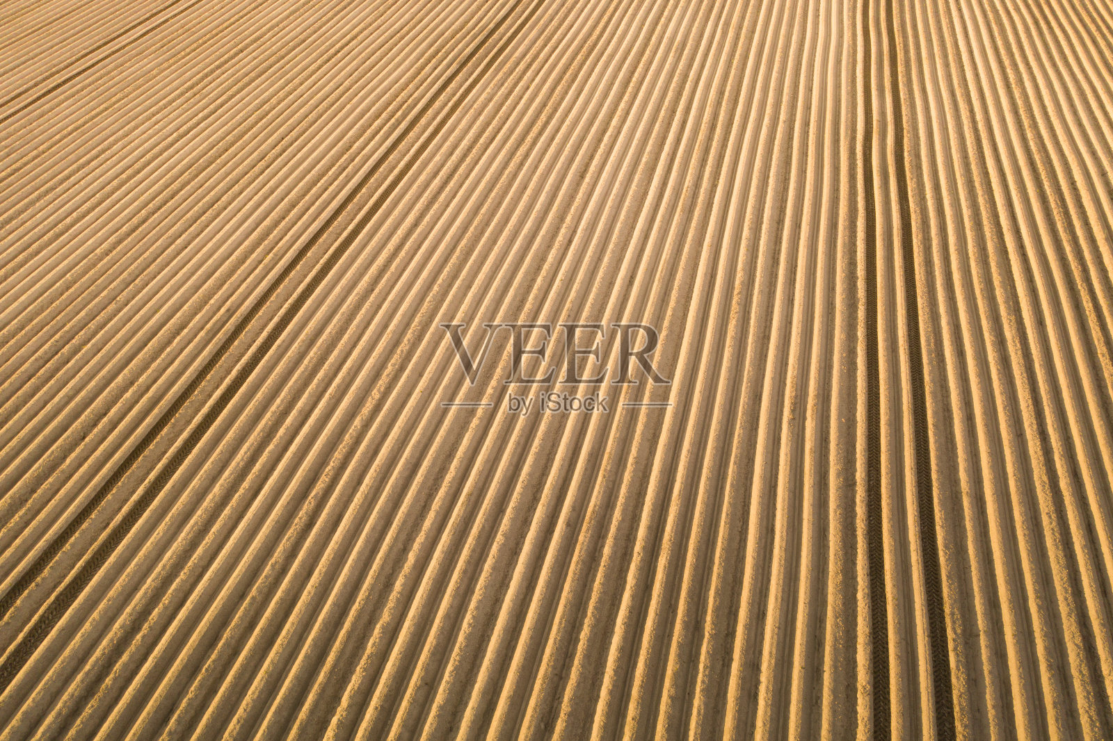 种植农业作物的优质耕地。照片摄影图片