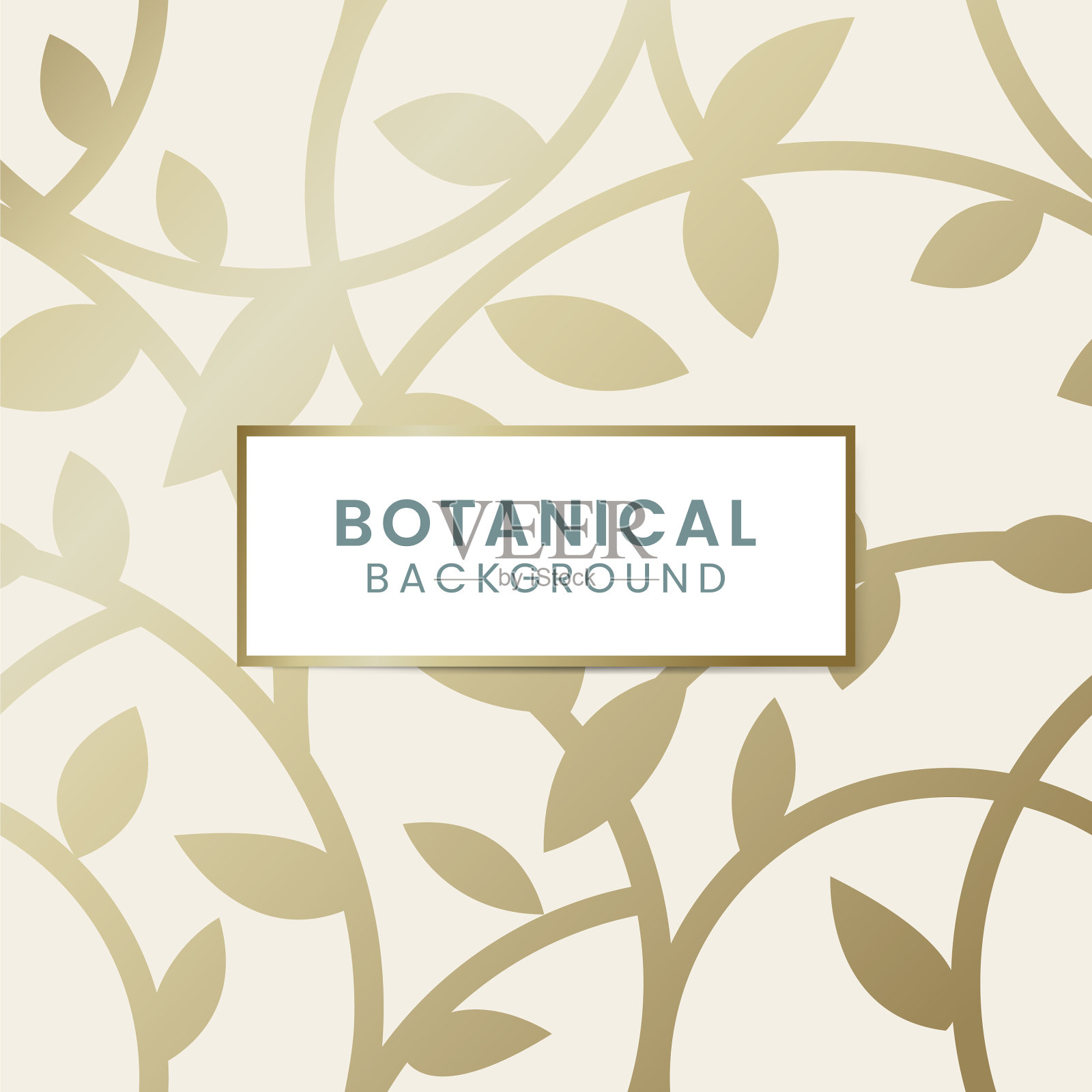 植物花卉插画图片素材