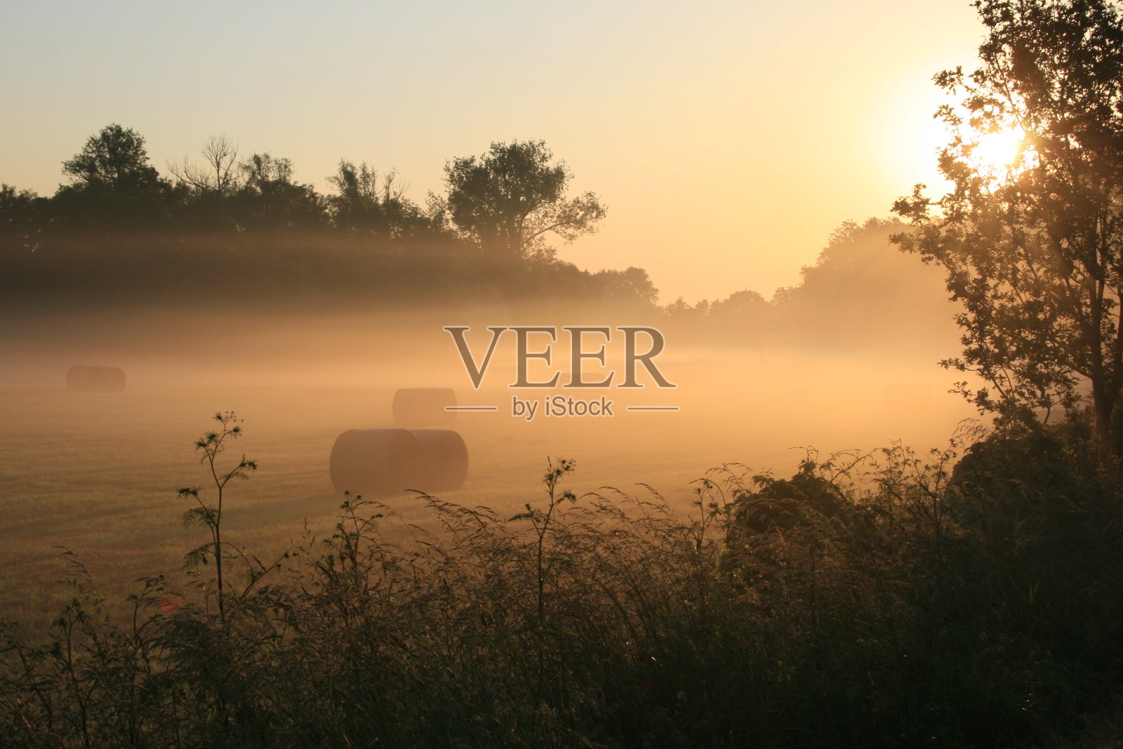 多雾的早晨照片摄影图片