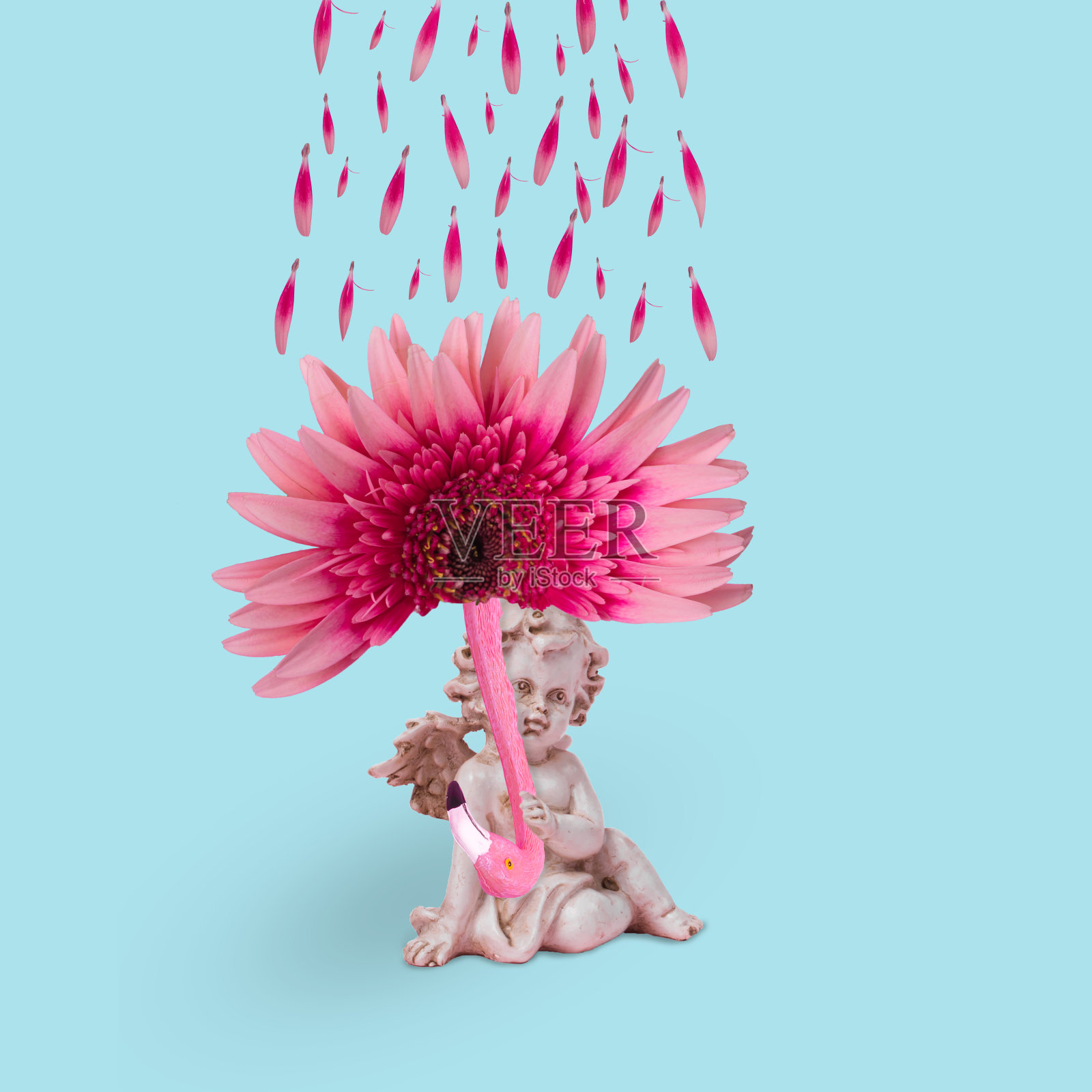 这是一个极具创意的点子，用非洲菊、花瓣和奇异的火烈鸟在柔和的蓝色背景上做成天使和雨伞。照片摄影图片