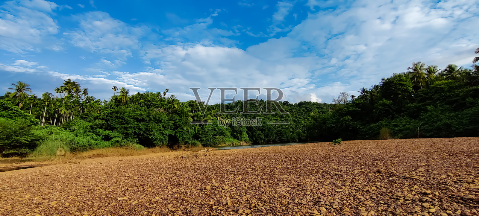 广角拍摄河边附近的绿色下的蓝天照片摄影图片