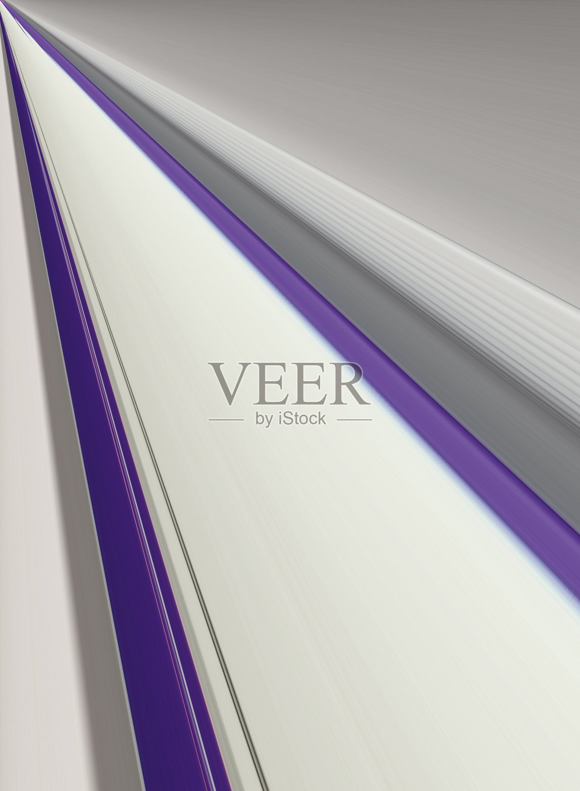 白色和pulple照片摄影图片