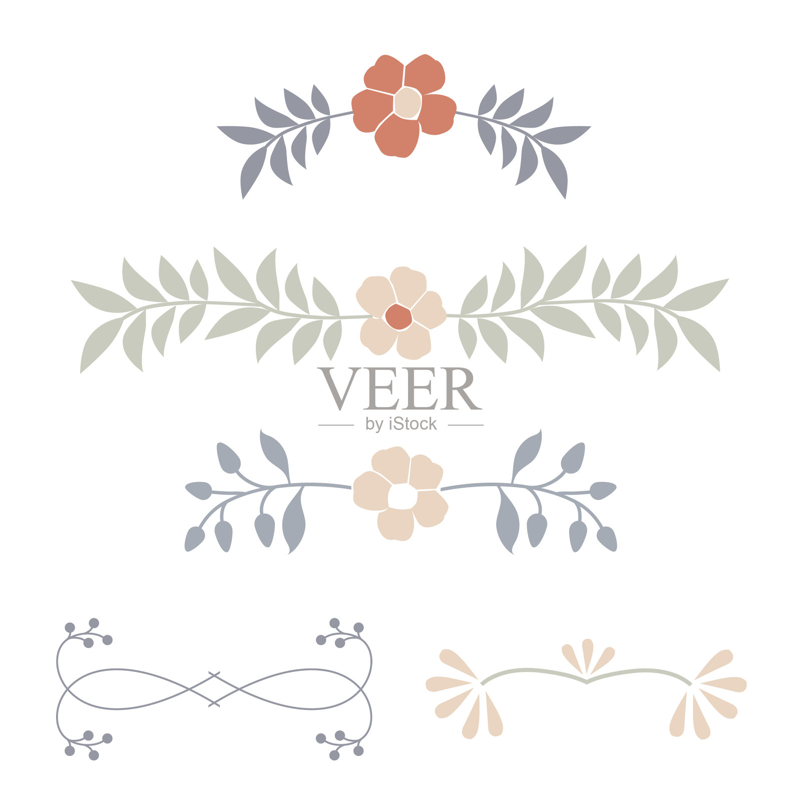 植物装饰分隔精致和插画图片素材