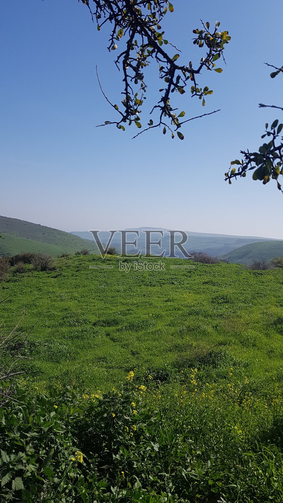 以色列北部冬季塔沃尔溪保护区的迷人景色照片摄影图片