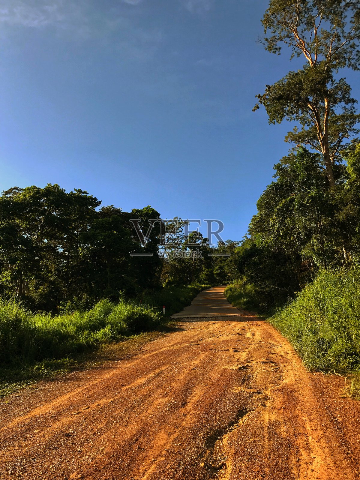 农村道路照片摄影图片