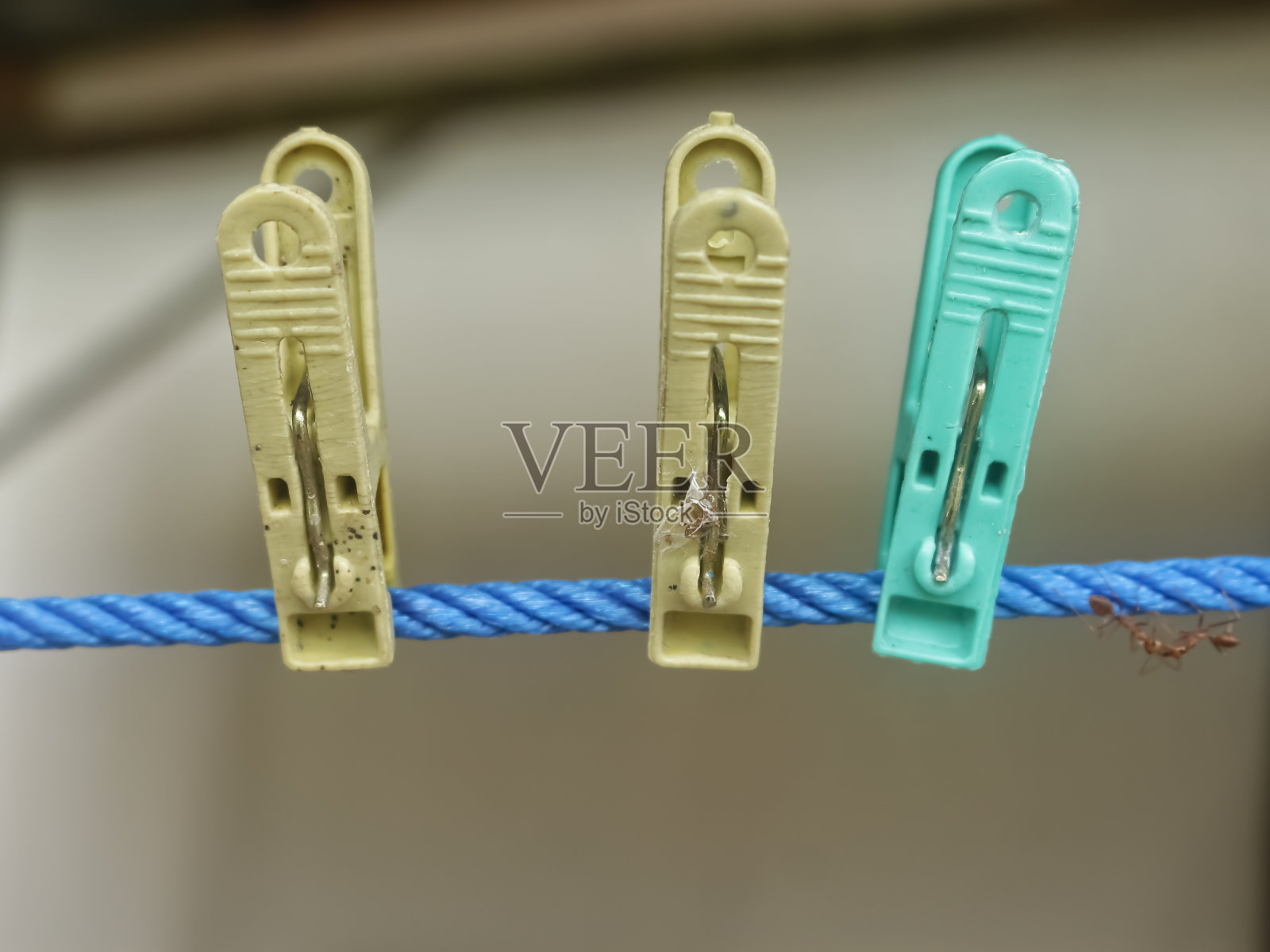 衣夹照片摄影图片