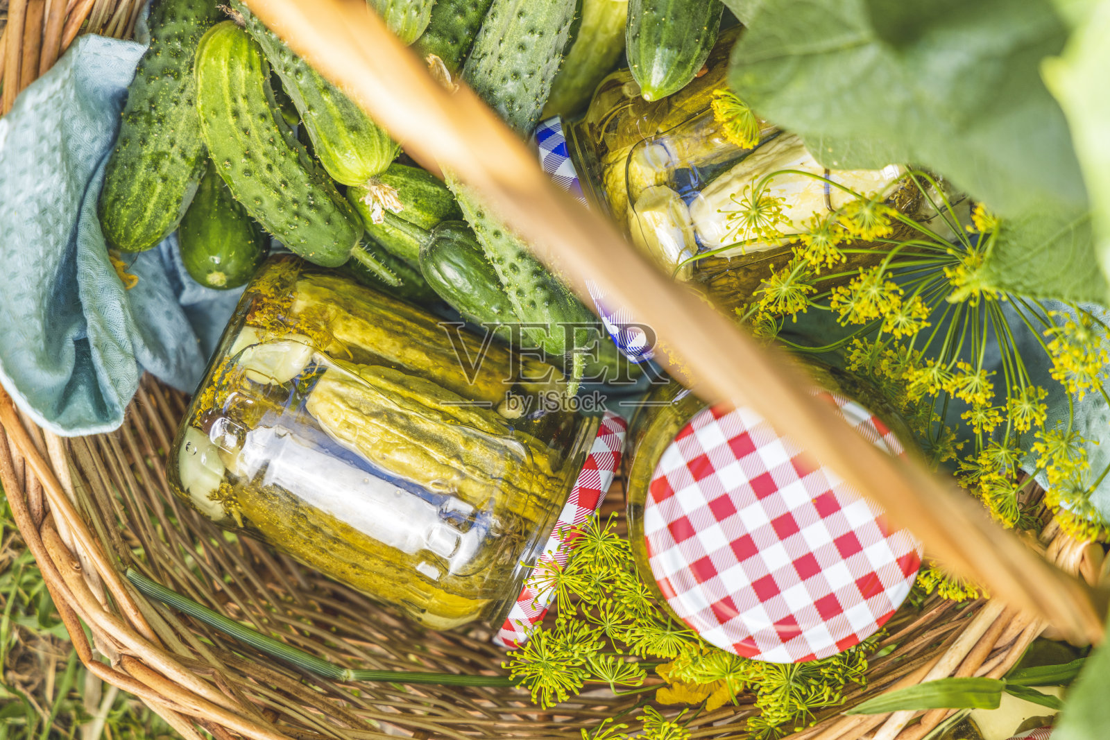 花园里的篮子里放着腌黄瓜和其他配料，周围是绿叶和黄花的黄瓜照片摄影图片