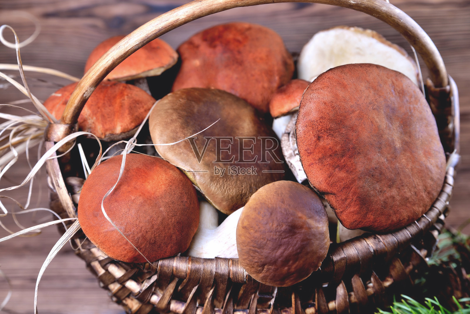 食用蘑菇，牛肝菌和牛肝菌在一个柳条篮子在一个自然的木制背景特写软焦点照片摄影图片