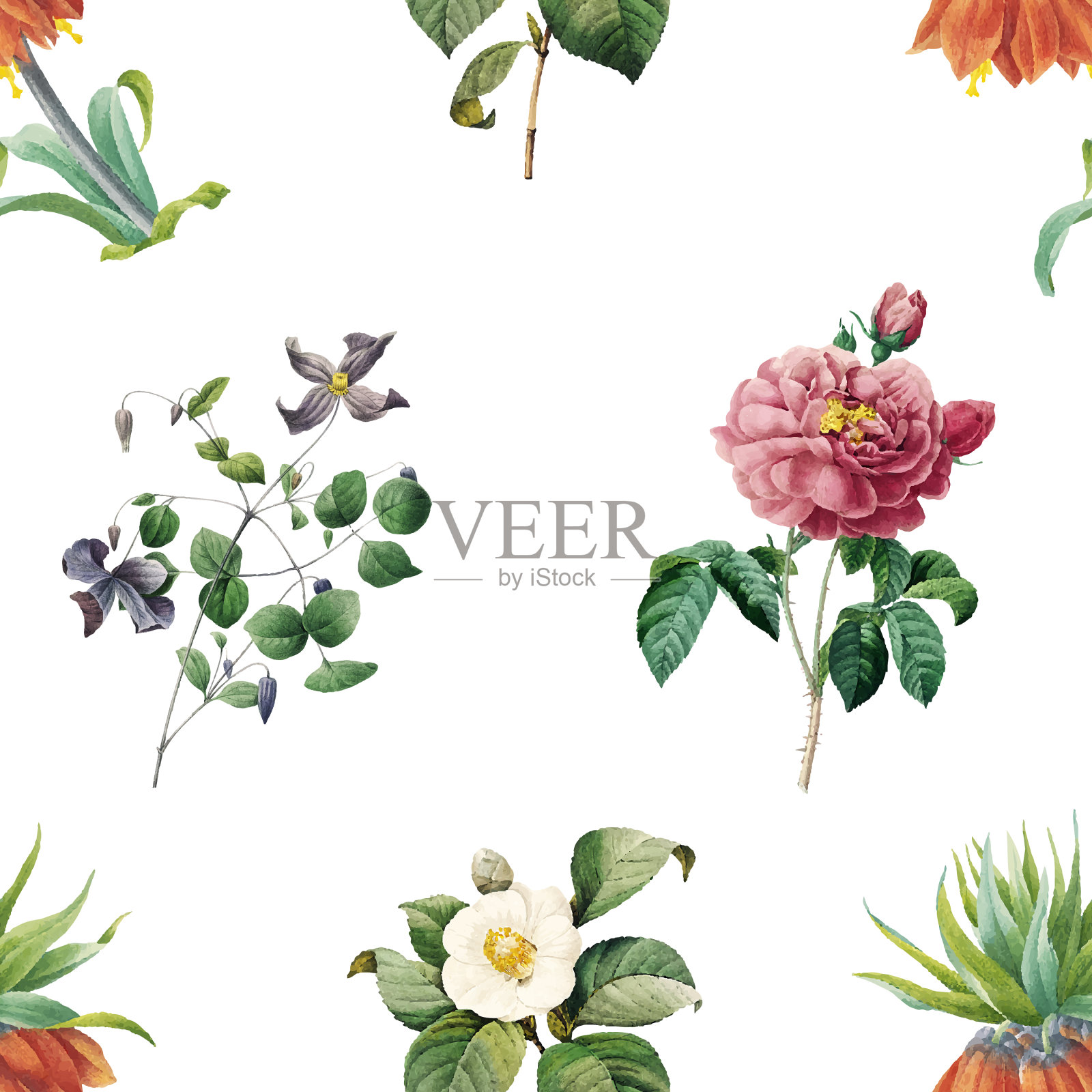 花卉图案的背景插画图片素材