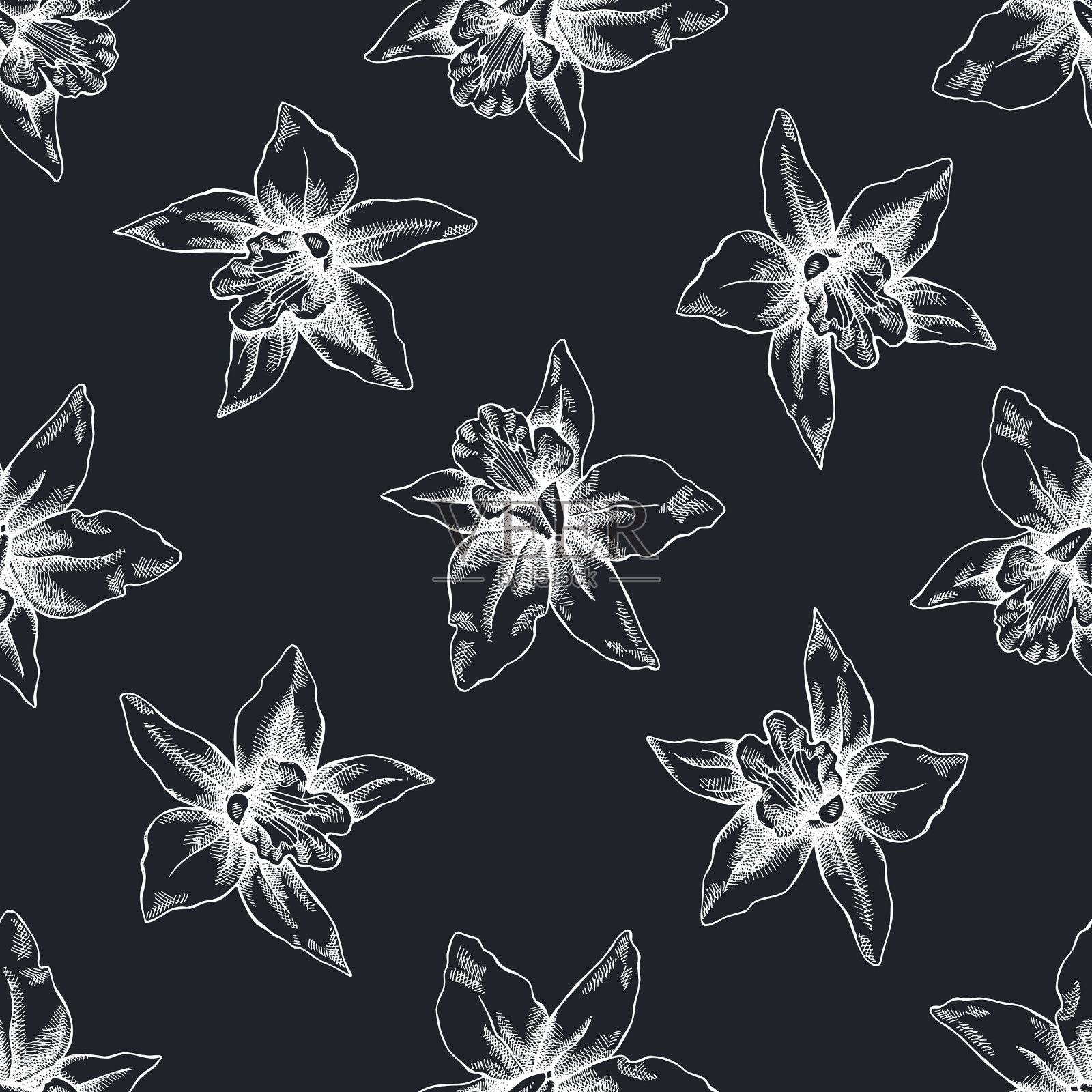 无缝图案与手绘粉笔拉利亚插画图片素材