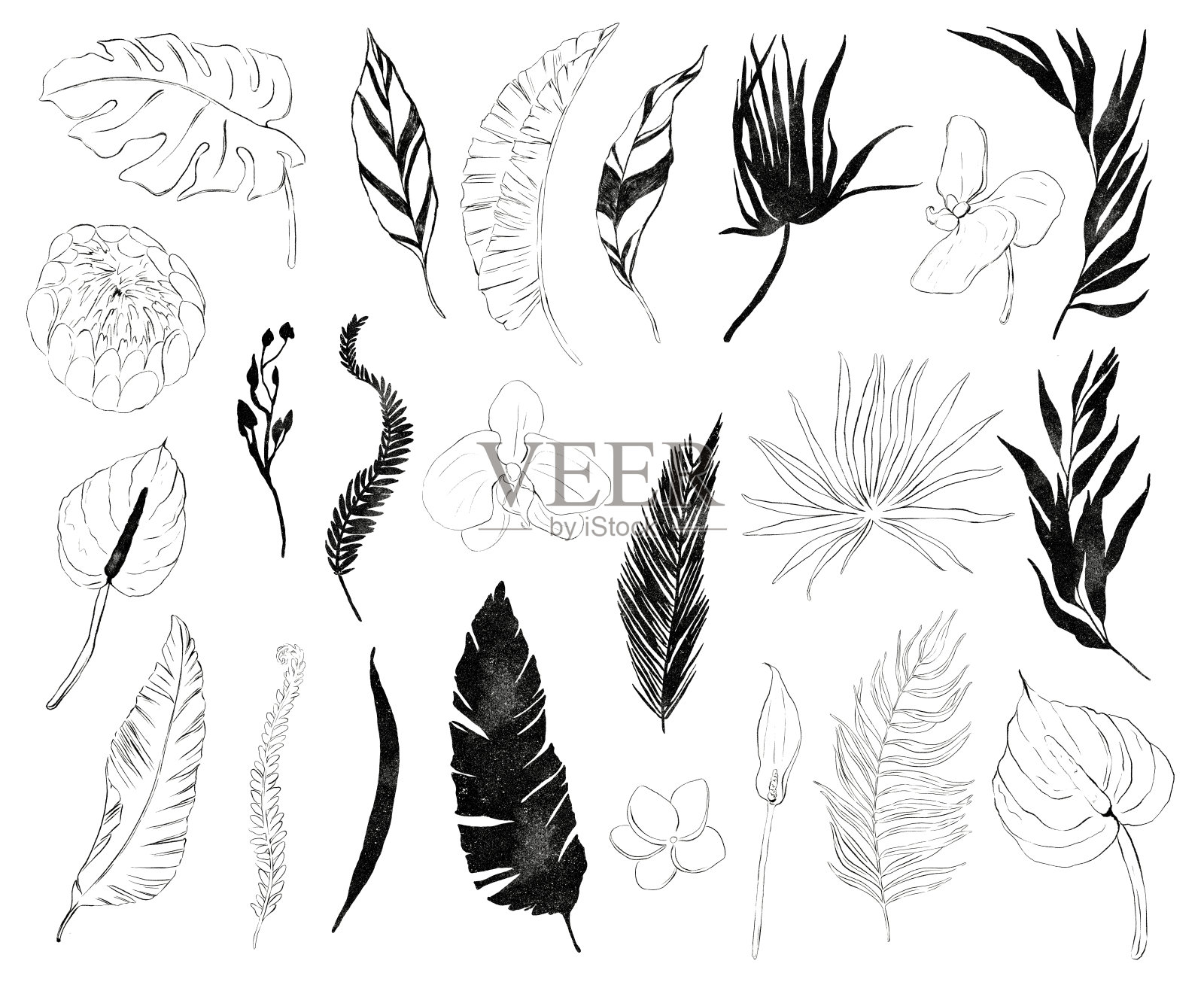 黑色轮廓的夏季diy收集用手绘的热带干棕榈叶、绿叶、花朵。浪漫的花束完美的婚礼贺卡，邀请和更多插画图片素材