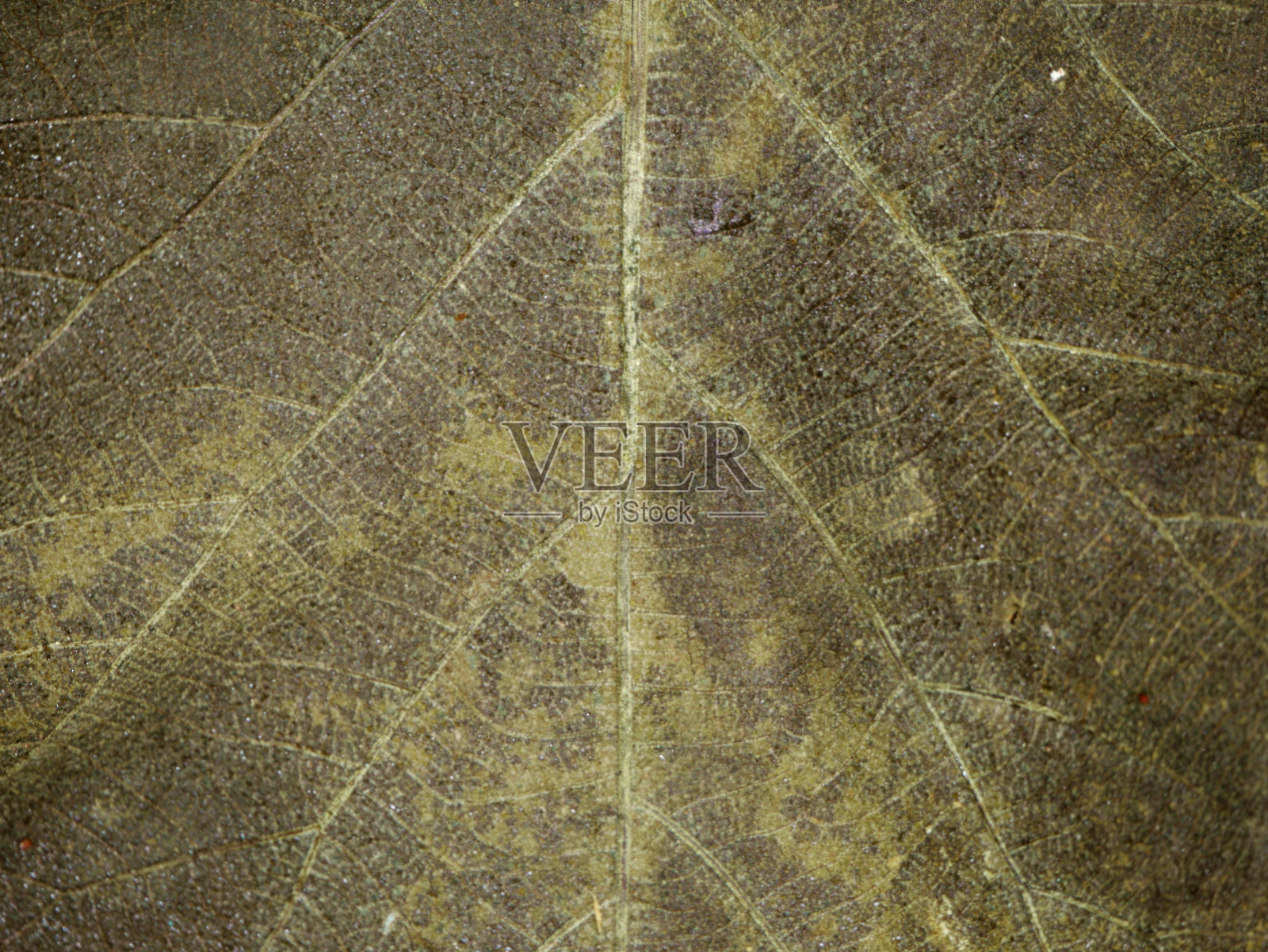 自然景观背景图像照片摄影图片