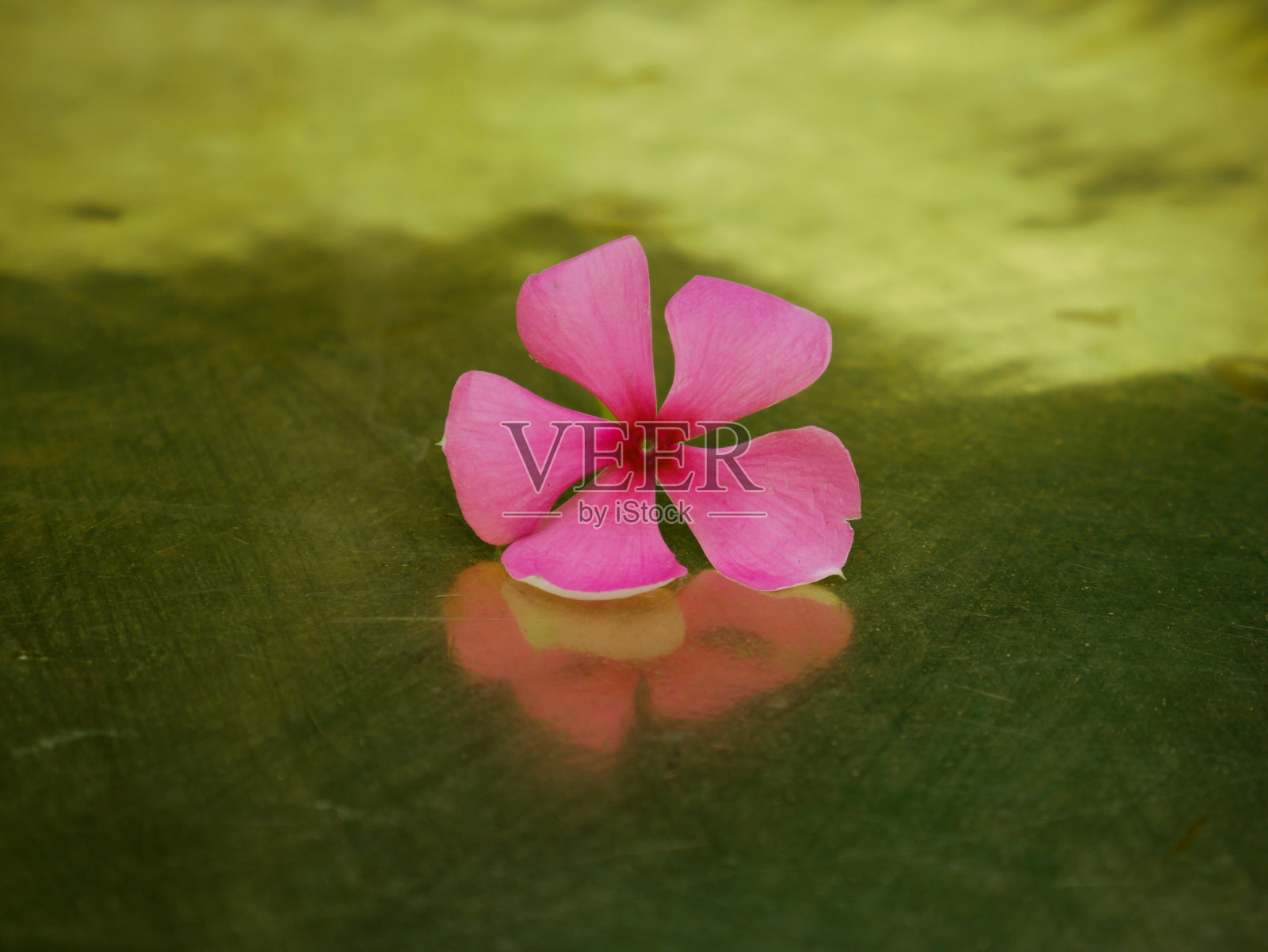 商业用途的自然背景图像照片摄影图片